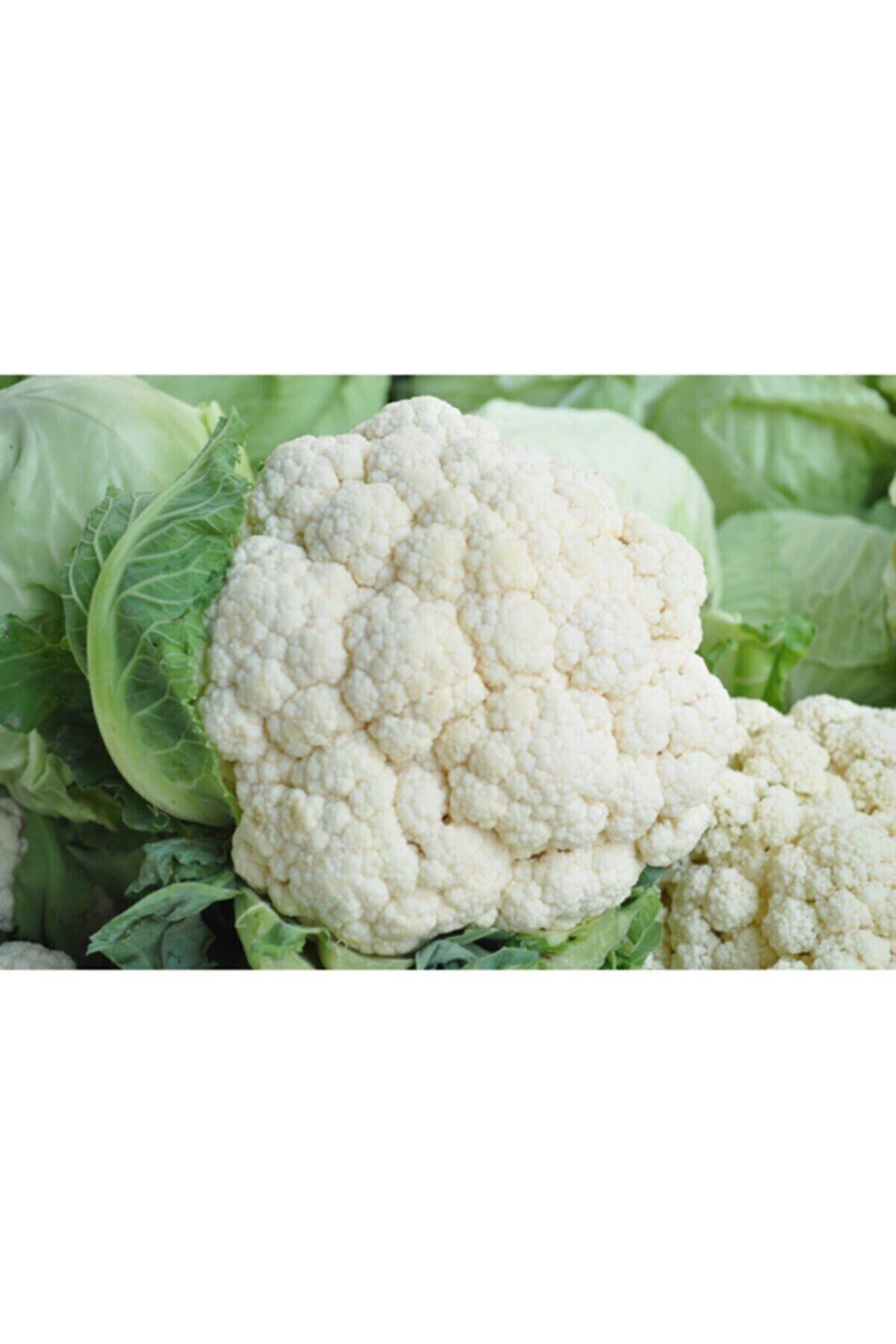 Biokent Organik Organik Sertifikalı Karnabahar 2 Kg