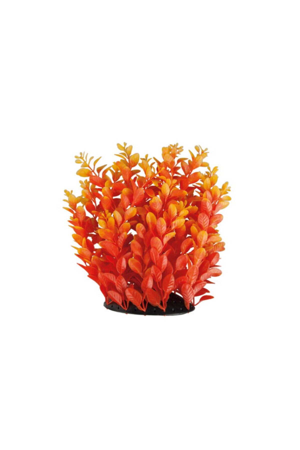 Oripet 097283 Akvaryum Plastik Bitki 25-28 Cm