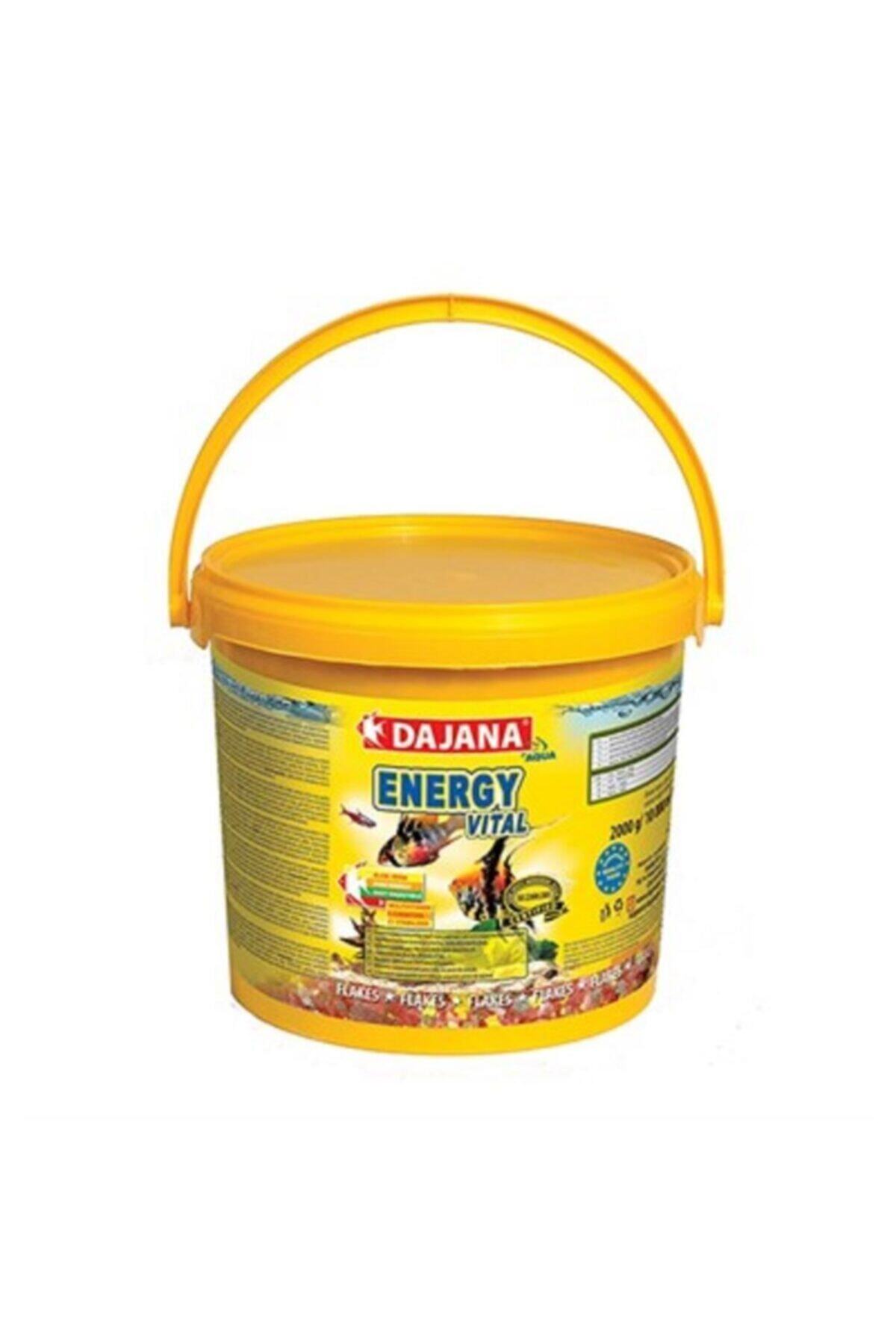 Dajana Energy Vital Flakes Pul Akvaryum Balık Yemi 2 Kg