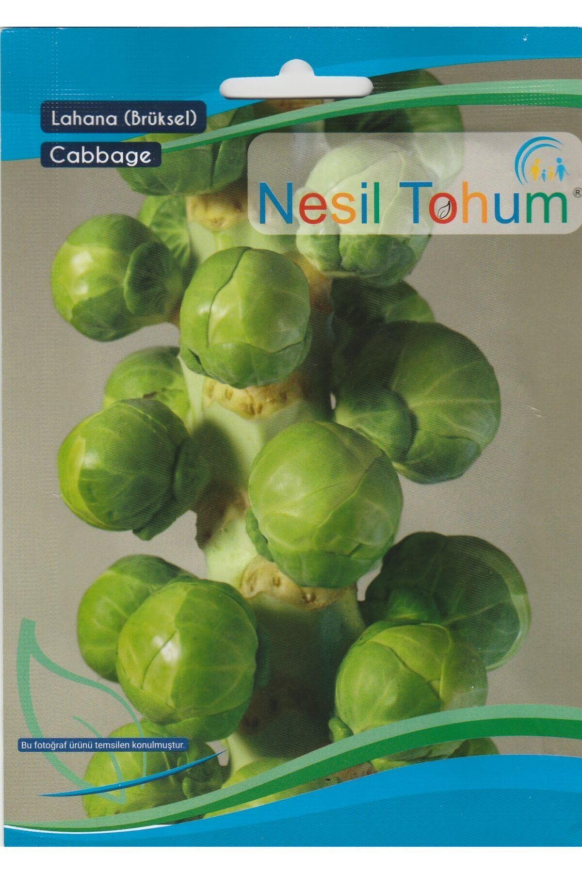 Nesil Tohum Brüksel Lahanası 200 Adet