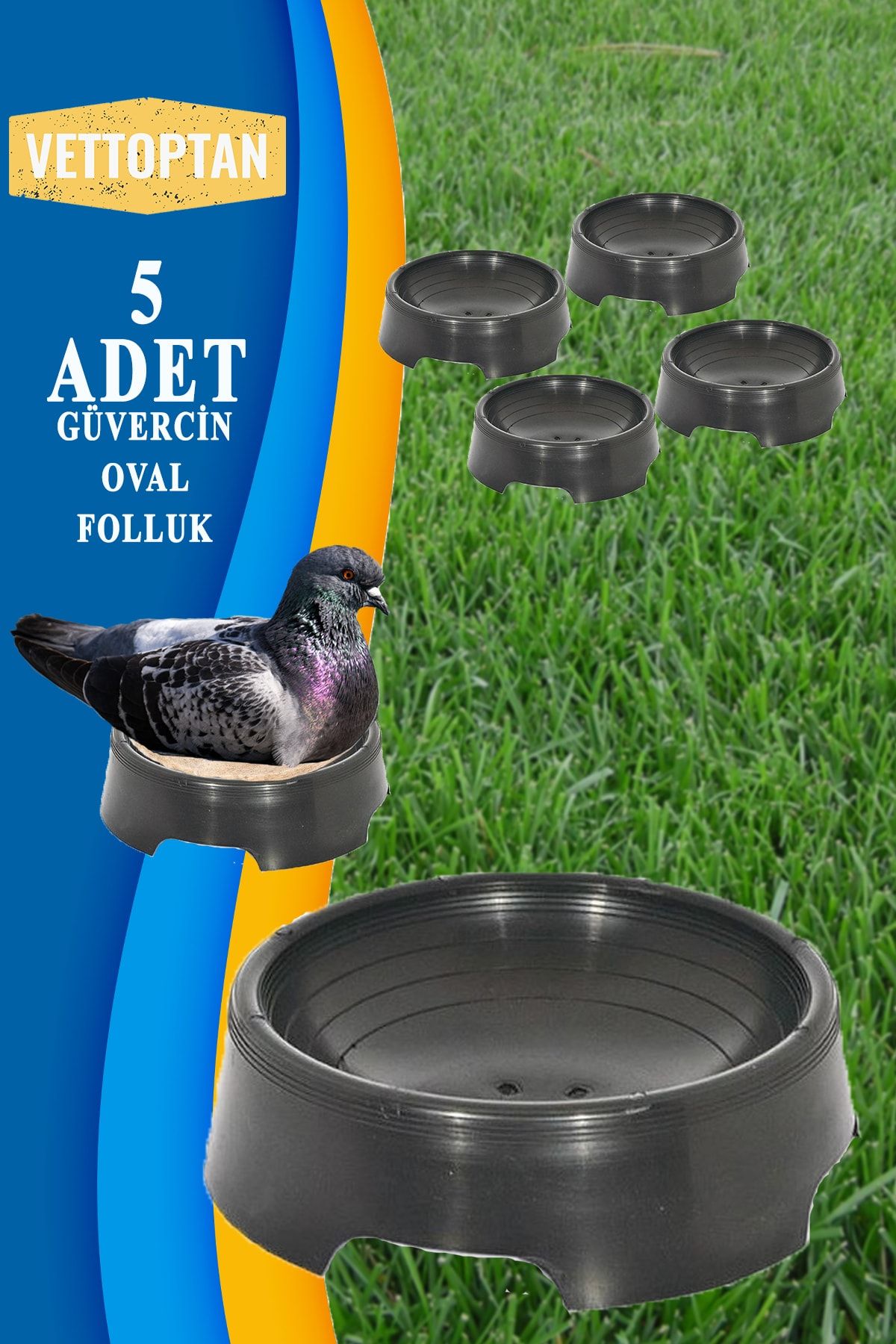 SHAVER Folluk Güvercin Folluğu Oval 5 Adet Güvercin Yumurta Şebap Posta Taklacı Süs Güvercini Balon Taklacı