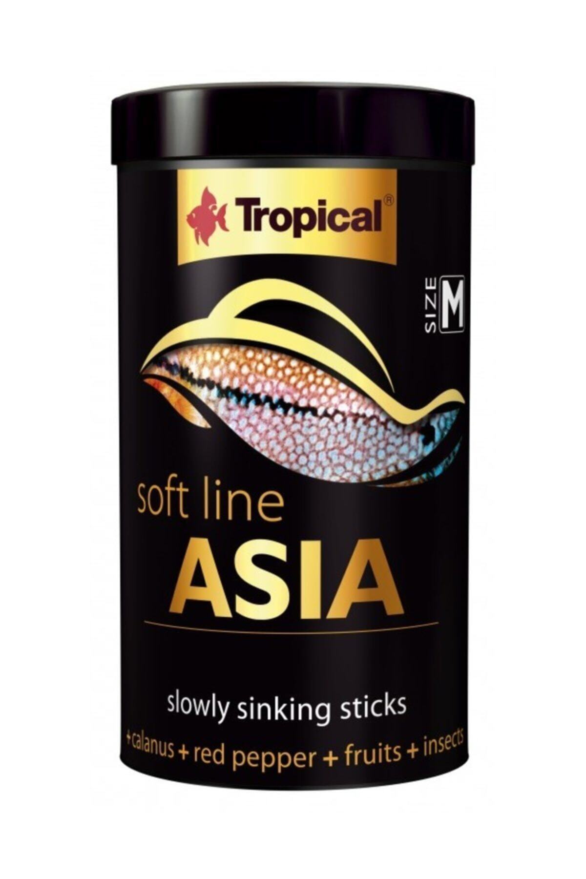 Tropical Soft Line Asıa Slowly Sinking Sticks 100g 250 ml