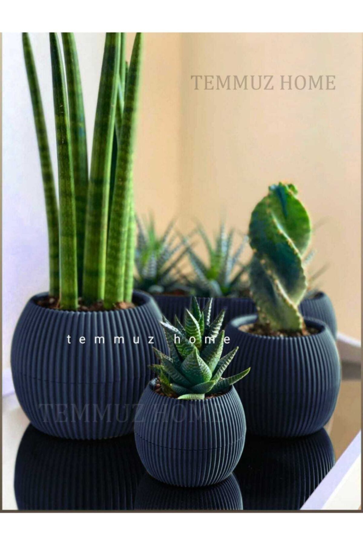 TEMMUZ HOME 3 Lü Set Kaktüs Ve Çiçekler Için Dekoratif Ve Şık Karasu Mercan Saksı Seti Sürpriz Hediyeli