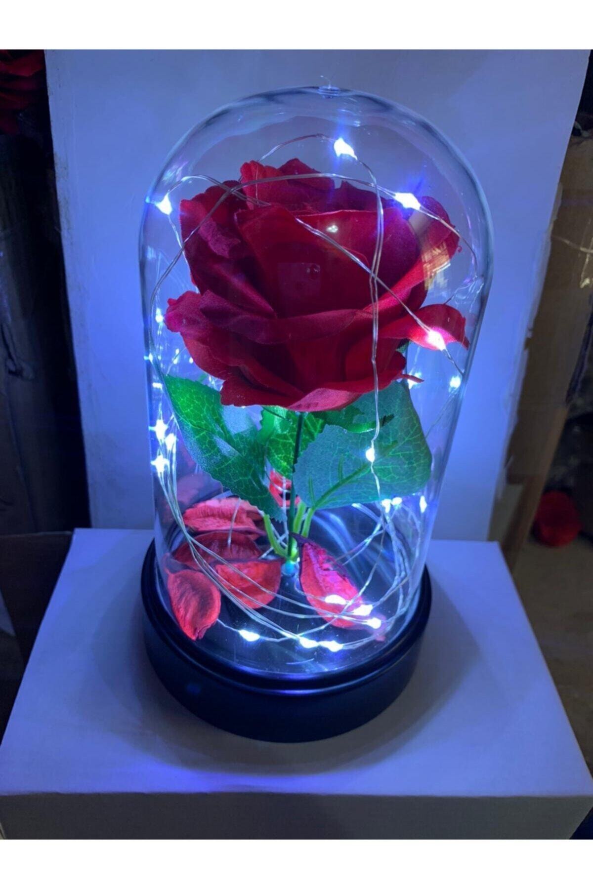 Aleyna'nın Dükkanı Ledli Kırmızı Gül Işıklı Mika Cam Fanus 22 Cm