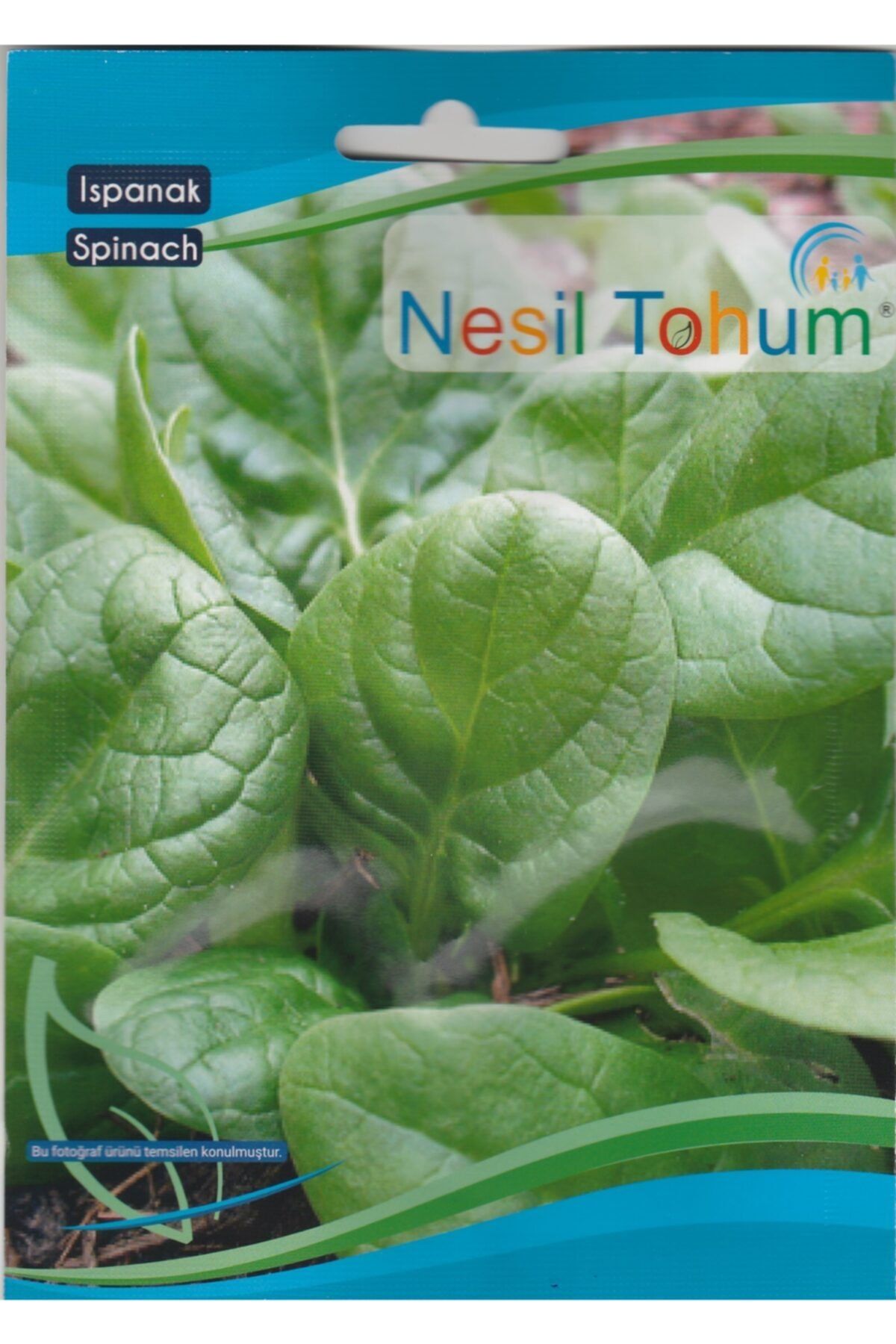 Nesil Tohum Ispanak Tohumu 10 Gram