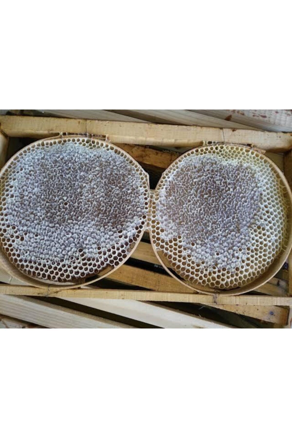 Doğal Organik Saf Kara Kovan Balı Mumsuz 2 kg 3 kg Arasıdır