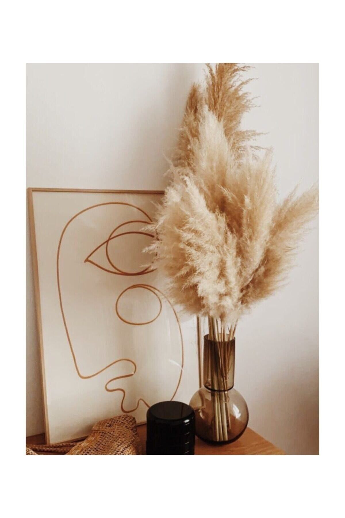 1001Naturel 10 Adet Pampas Otu 50 cm