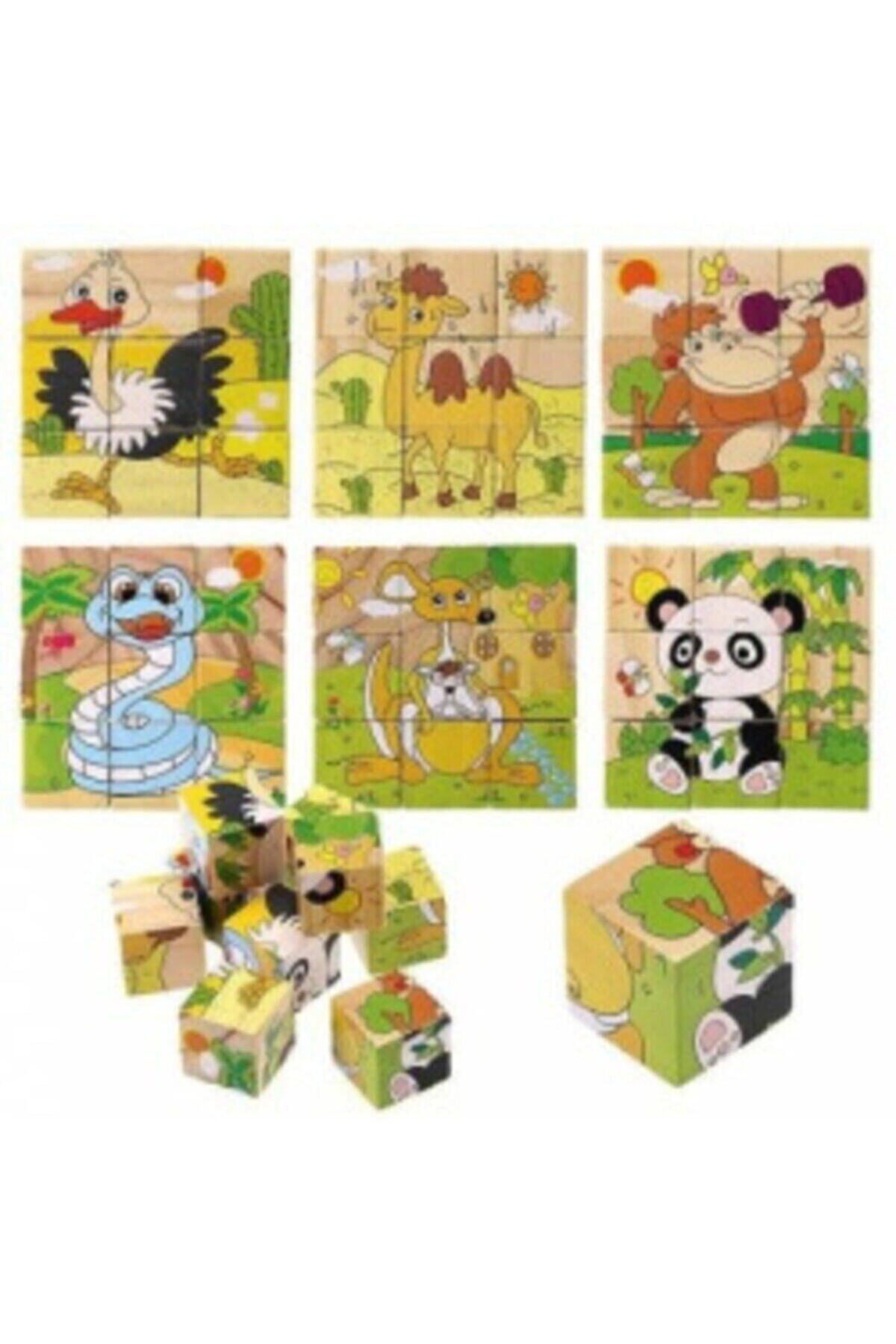 AyasEğiticiOyuncak Ahşap Küp Puzzle 9 Parça 6 Resim Bul Tak Yap Boz
