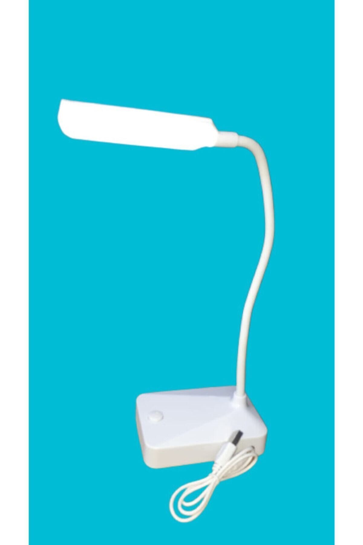 NEWSTORE 9 Led Ho0se Table Masa Üstü Lamba Usb Ve 3x1.5 A. Kalem Pili9smd X7588