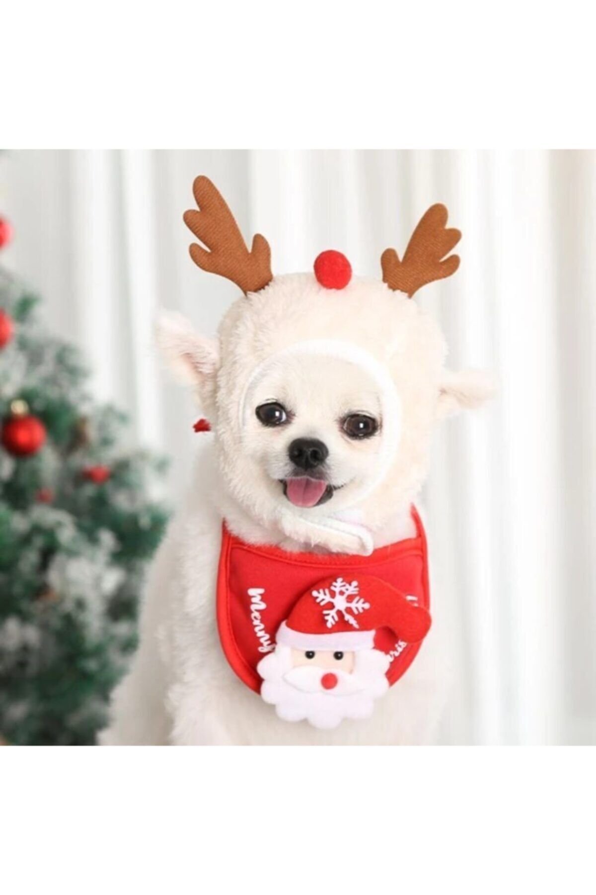 JACKS DOG CAFE Köpekler Için Peluş Yılbaşı Şapka Seti