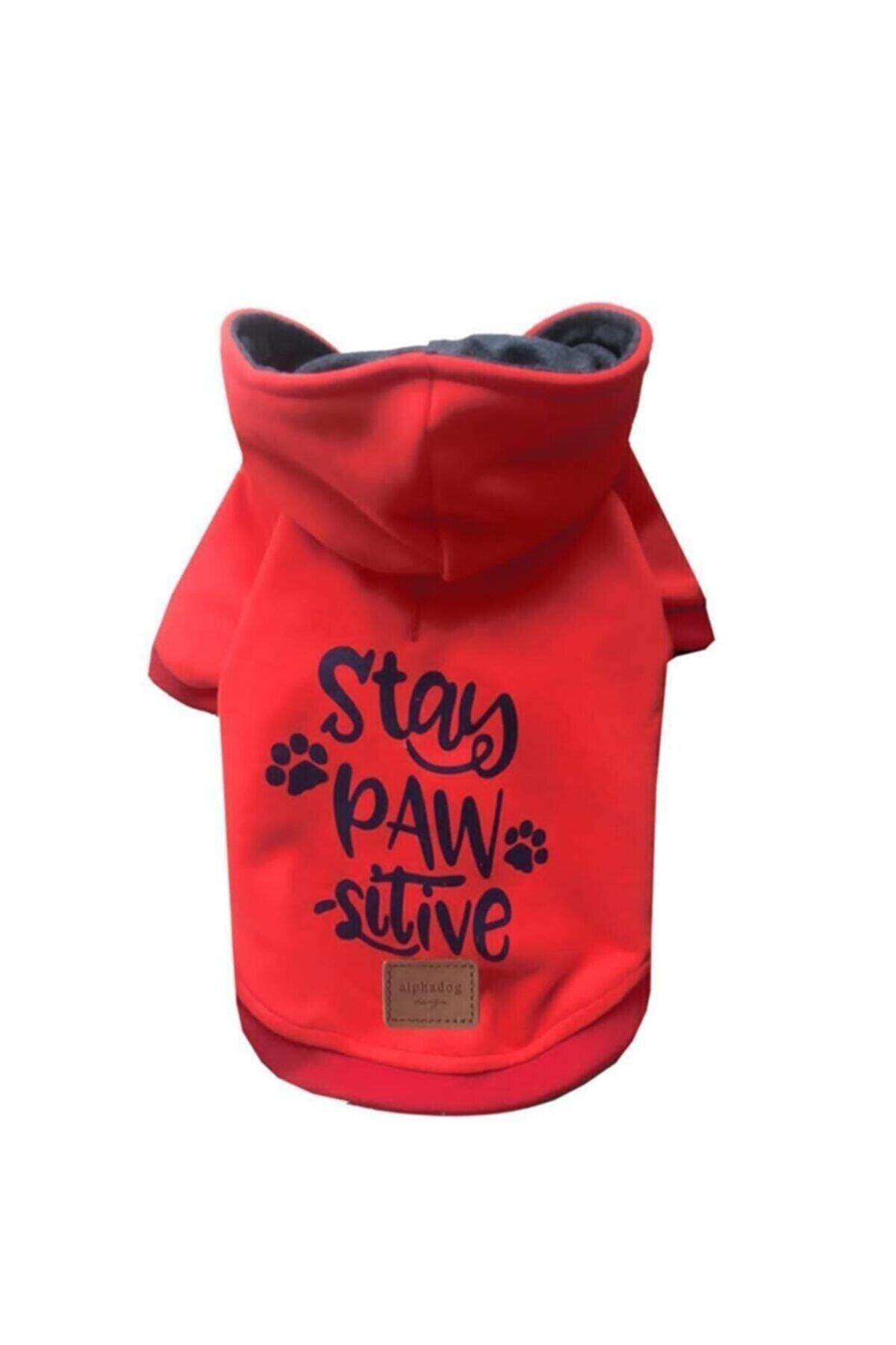 Alphadog Pawsitive Orange Polar Kapşonlu Sweatshirt Köpek Kıyafeti