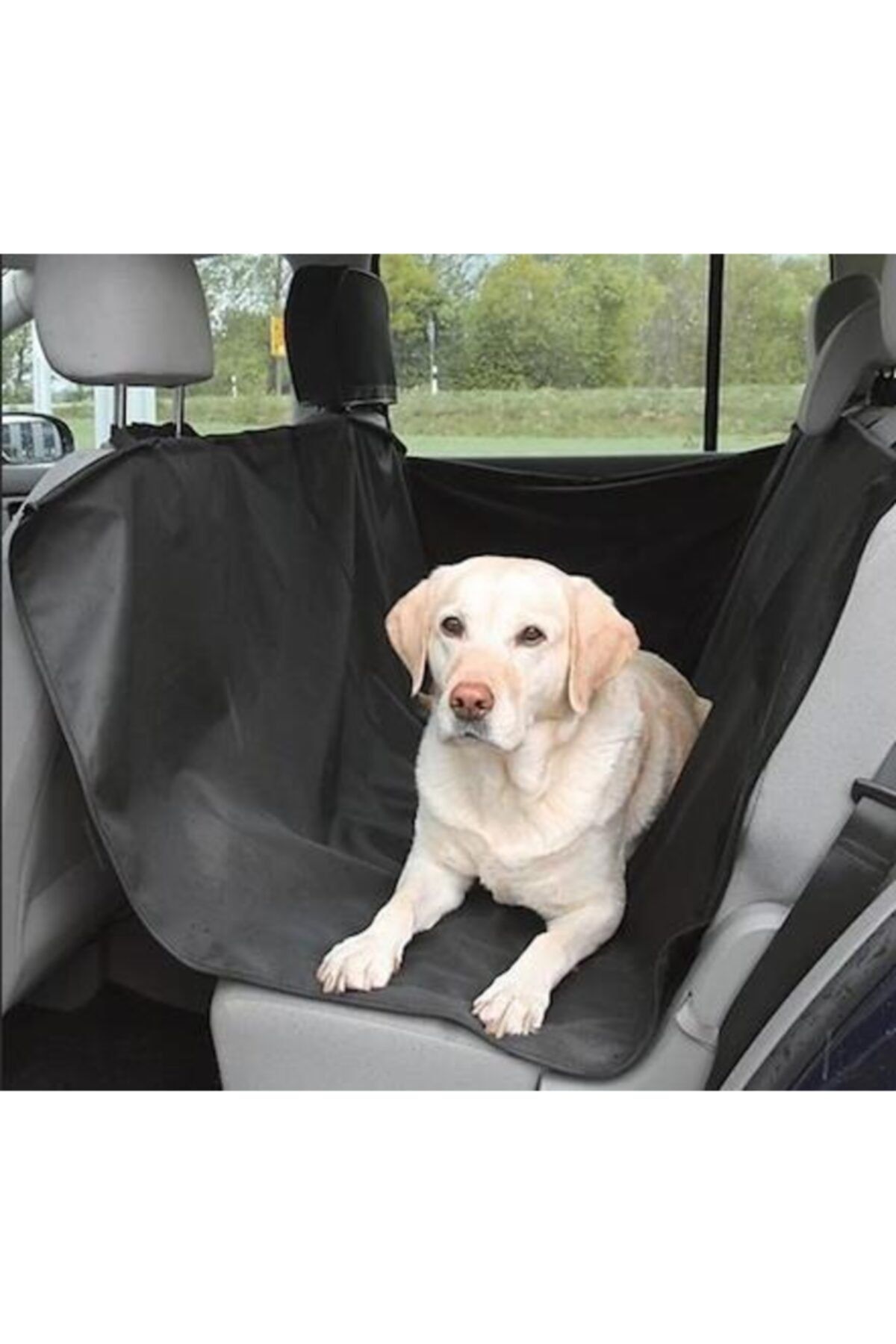 MatesStore Oto Araç Içi Kedi Köpek Kılıfı Araba Koltuk Koruyucu Örtü