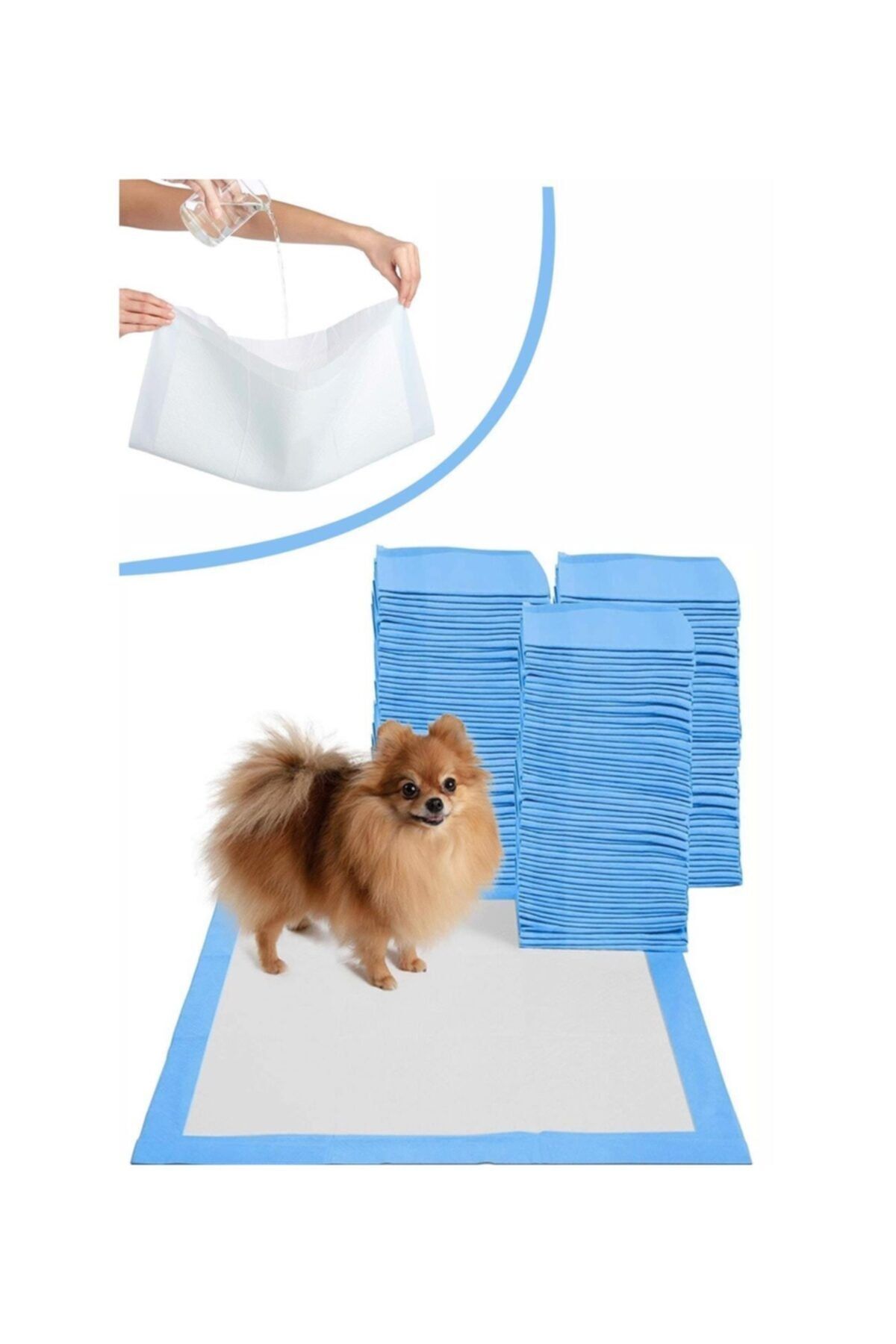 SeEs Mağaza Köpek Çiş Pedi 60x90