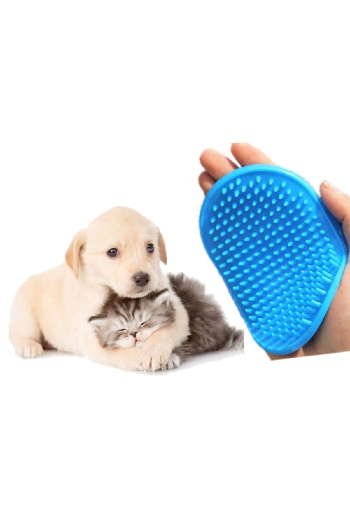 CatMozz Kedi Köpek Yıkama Tarağı