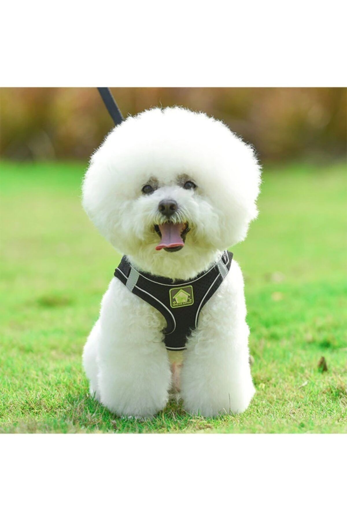 Silaypet Köpek Göğüs Gezdirme Tasması ( Siyah Xl Beden )