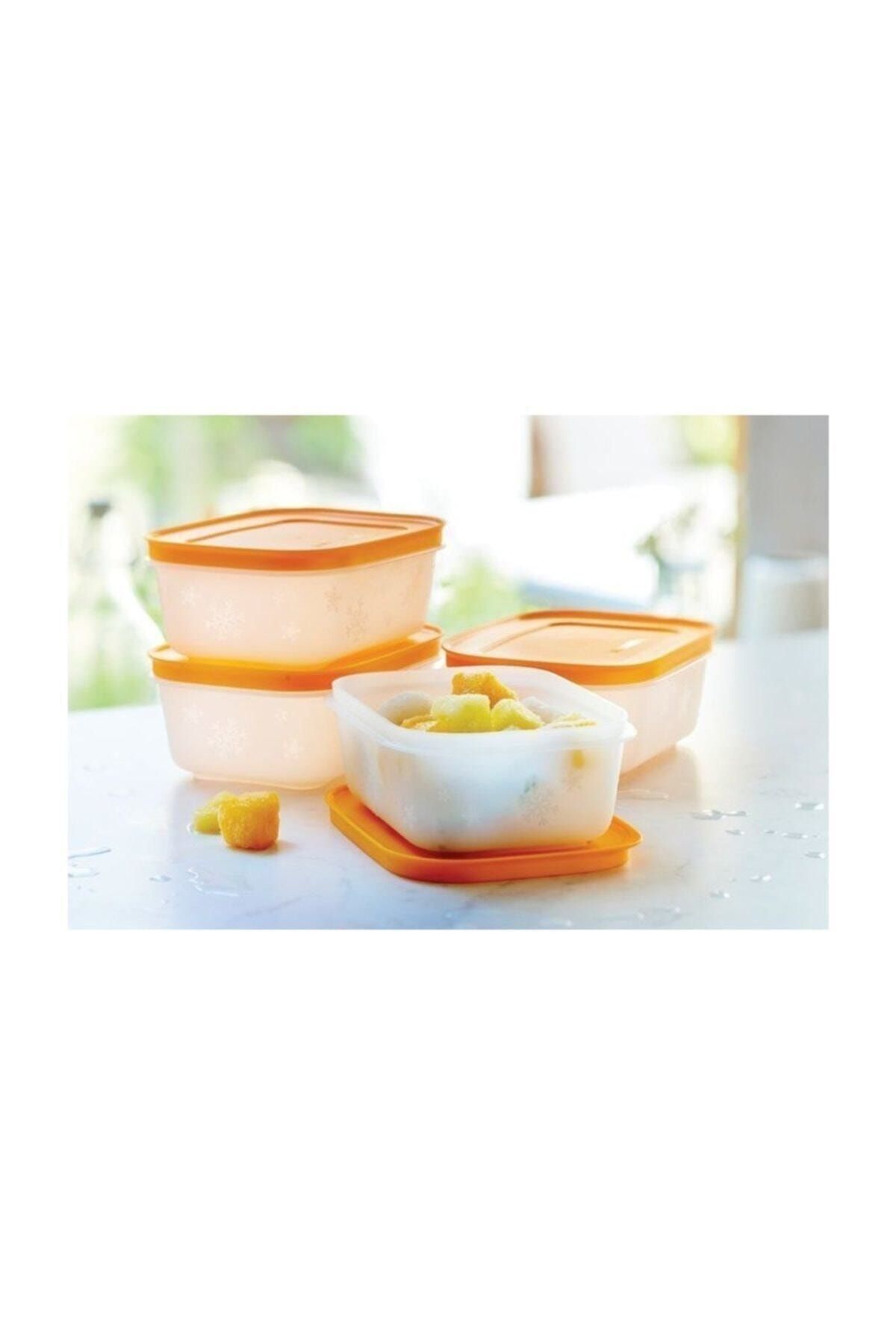 Tupperware Alaska 450 ml 4'li Set Antartika
