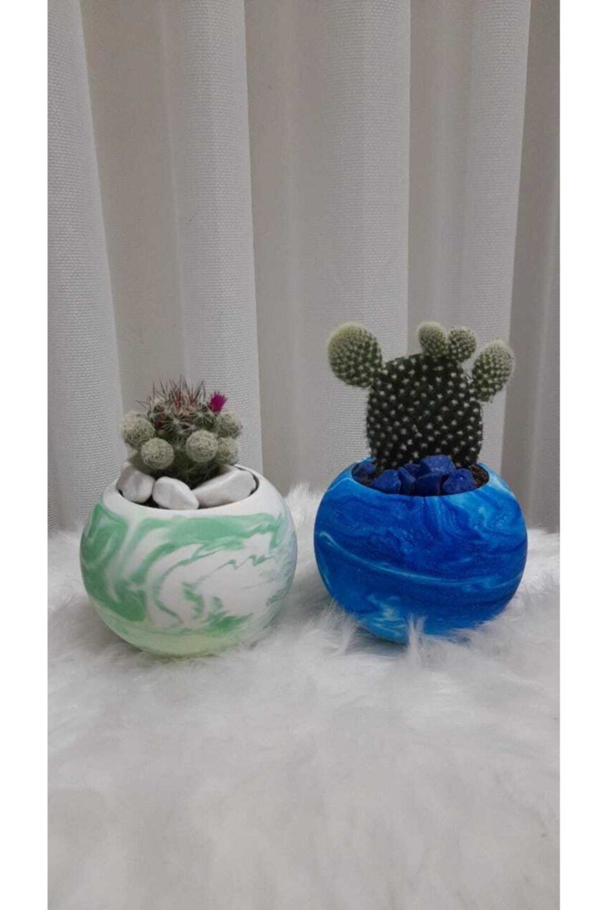 Dudo Baby 2'li Beton Kaktüs Sukulent Saksı Set,çiçekler Görsel Amaçlıdır