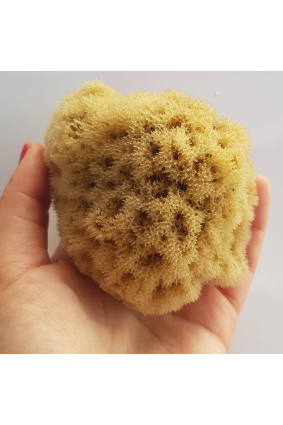 bodrum sünger avcısı Doğal Deniz Yüz Temizleme Süngeri