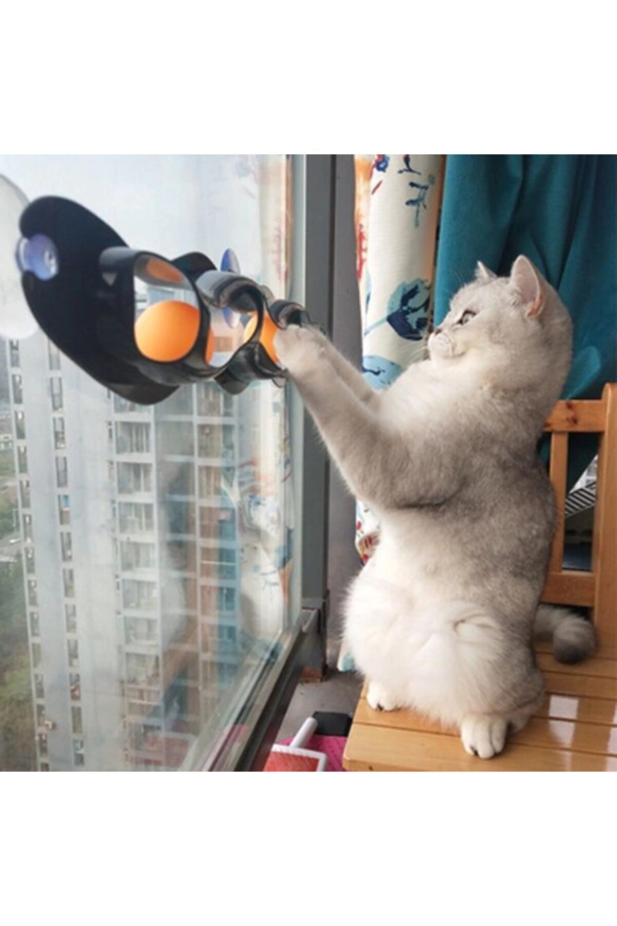 pro ithalat Zampa Iki Toplu Vantuzlu Kedi Oyun Tüneli