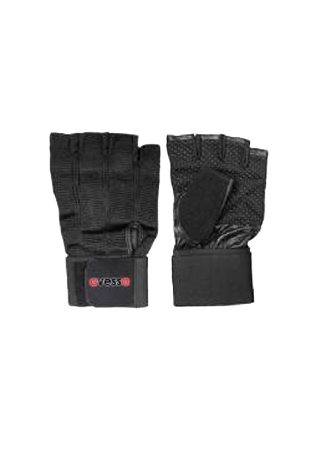 AVESSA Rex Body Eldiveni