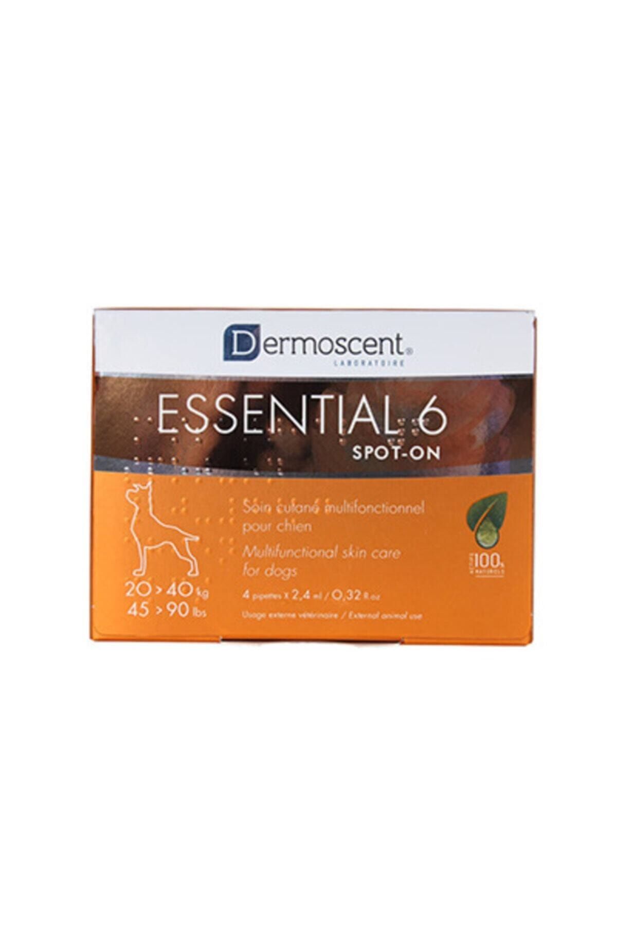Dermoscent Essential 6 Spot-on 20-40 kg Köpekler Için Deri Bakım Ürünü 4x2.4ml