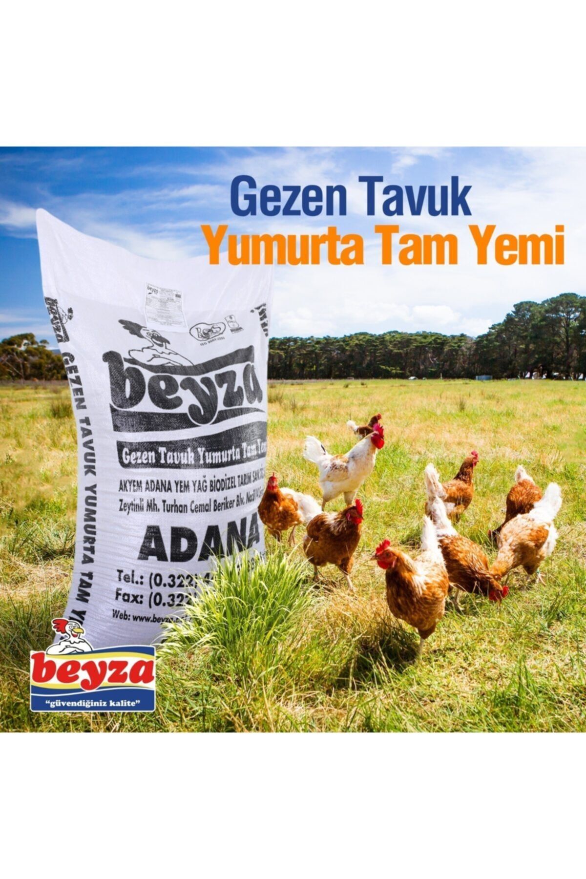 Beyza Yem Gezen Yumurta