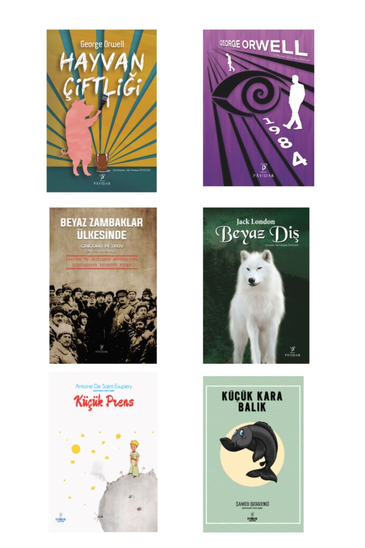 Payidar Yayınları Dünya Klasikleri Seti ( 6 Kitap )