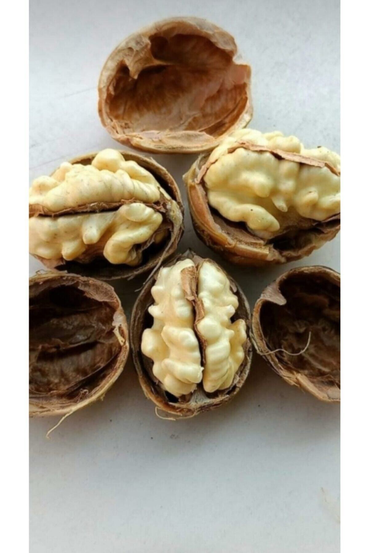 bahceviz Kabuklu Ceviz 1 Kg