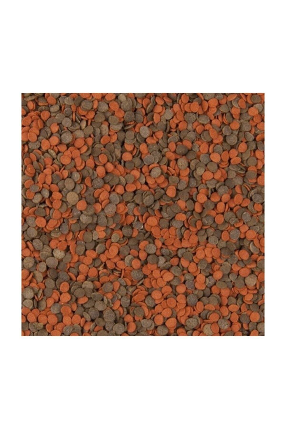 Tropical Balık Yemi Cichlid Chips Şeklinde Ciklet Balığı Yem 250ml
