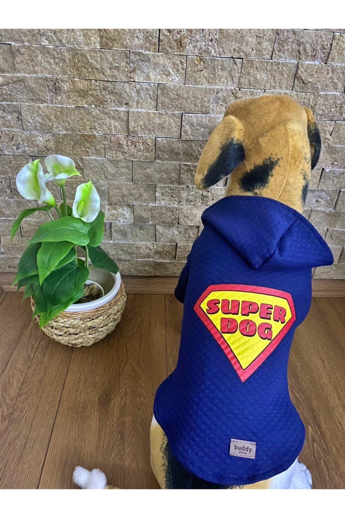 Buddy Store Kedi Köpek Kıyafeti & Elbisesi Kapüşonlu Sweat (kapitone Kumaş) Model Lacivert Superdog