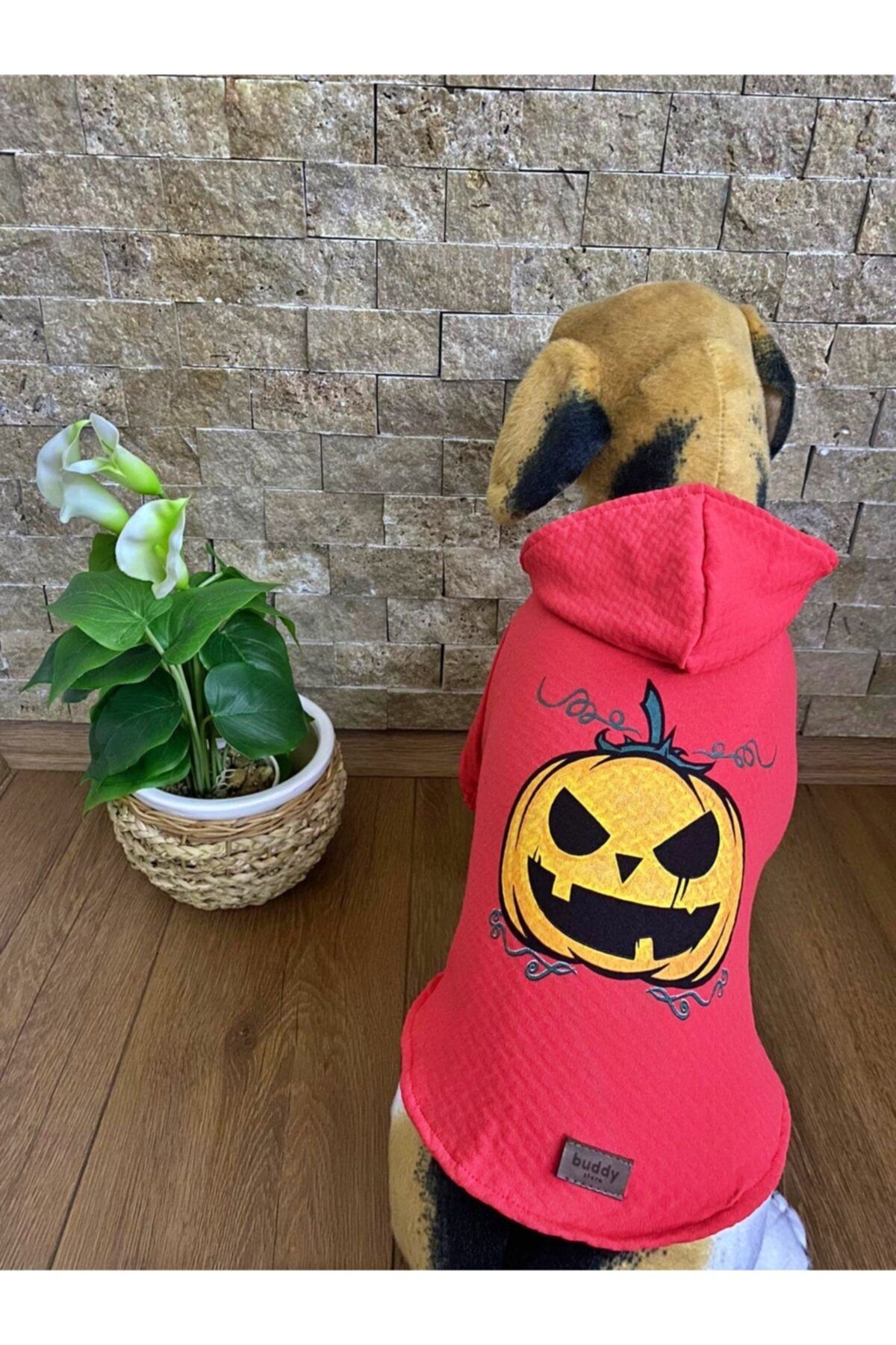 Buddy Store Kedi Köpek Kıyafeti & Elbisesi Kapüşonlu Sweat (kapitone Kumaş) Model Turuncu Bal Kabağı