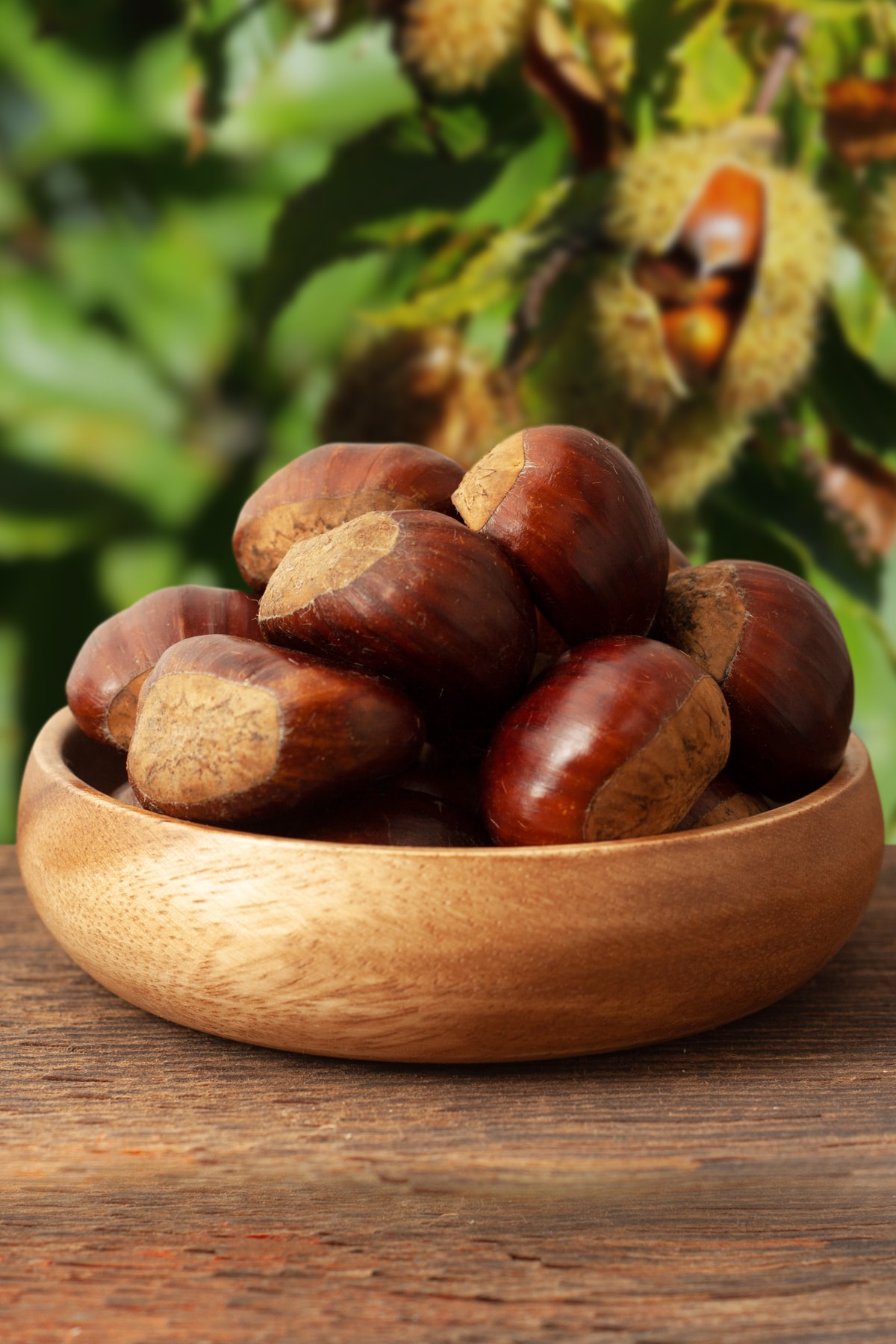 Hacı Mümtaz 1958 Taze Kestane 1000g