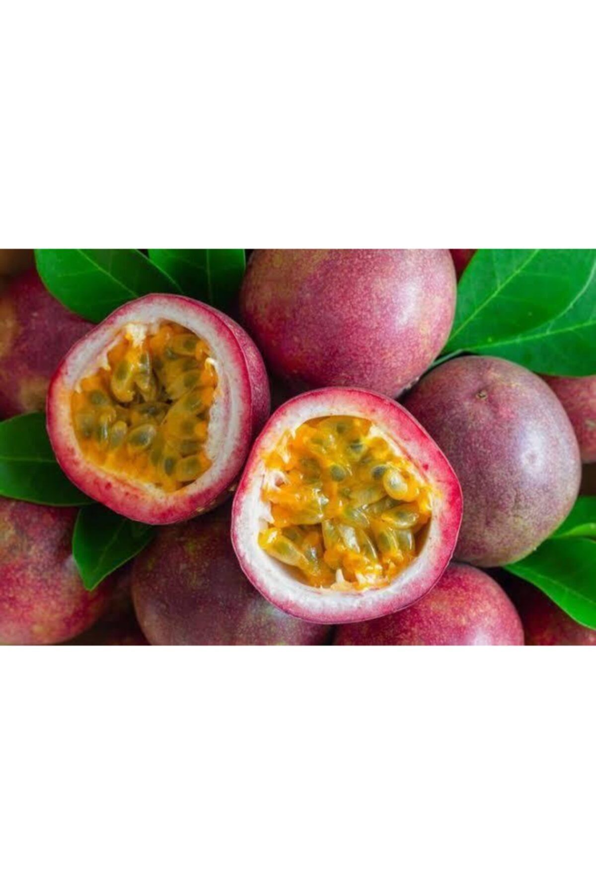 Maya Tropikal Pasiflora (ÇARKIFELEK) Meyvesi 5 Adet