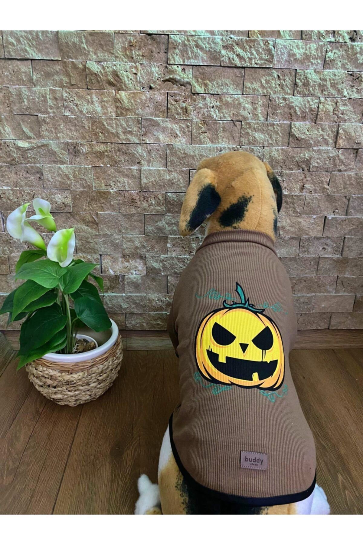 Buddy Store Kedi Köpek Kıyafeti & Elbisesi Uzun Kollu Model Bal Kabağı (kaşkorse)