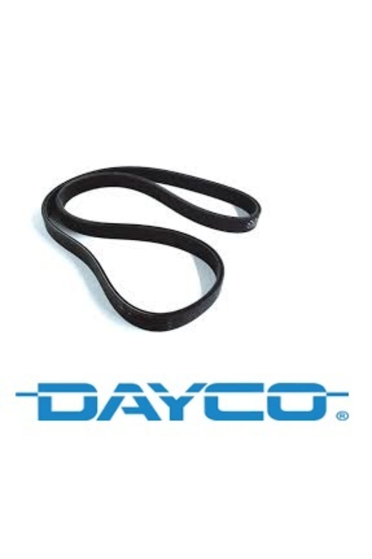 DAYCO Volvo S80 Xc90 V Kayışı