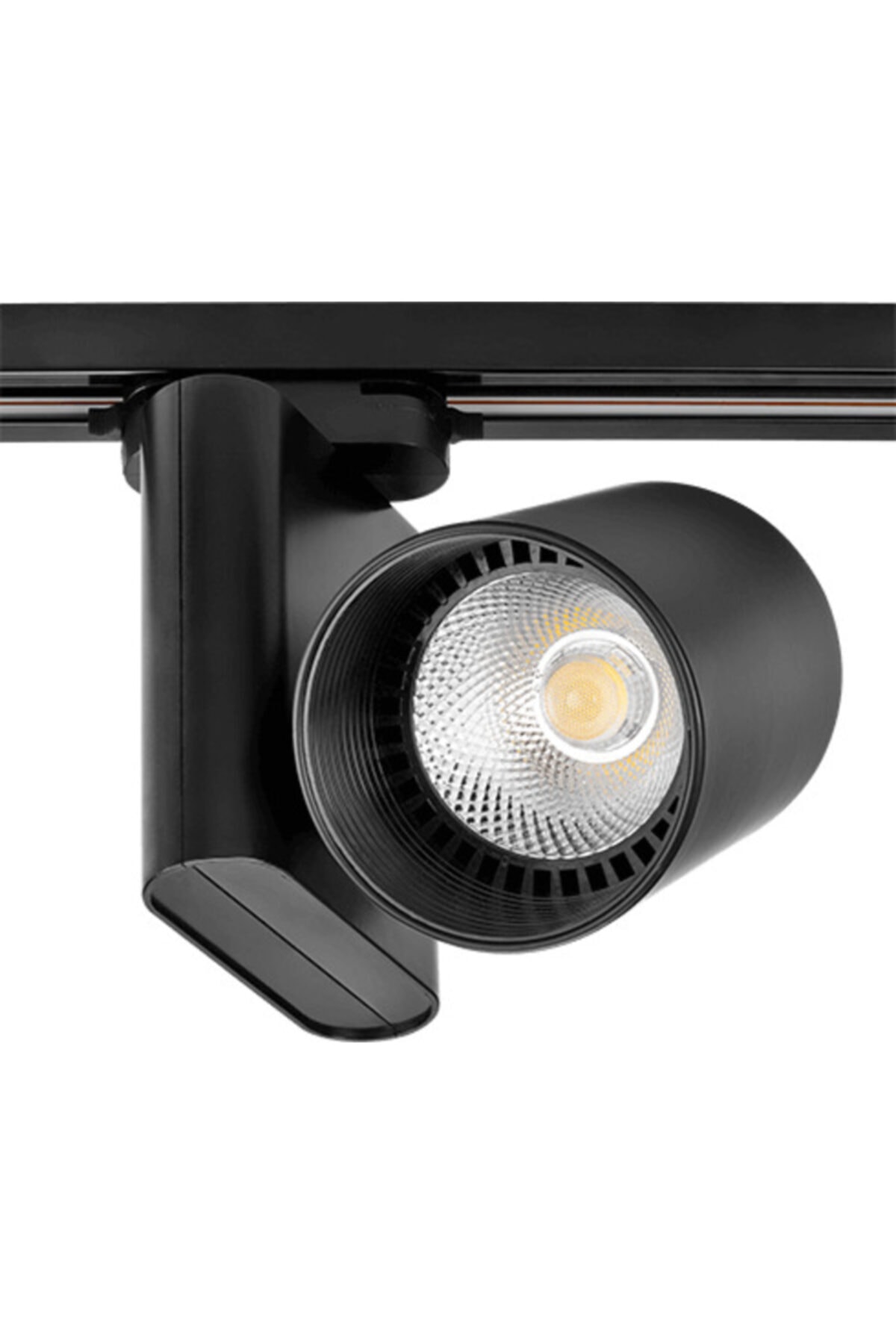 Gold Lighting Goldx Lighting Siyah Kasa Ray Spot 3000k