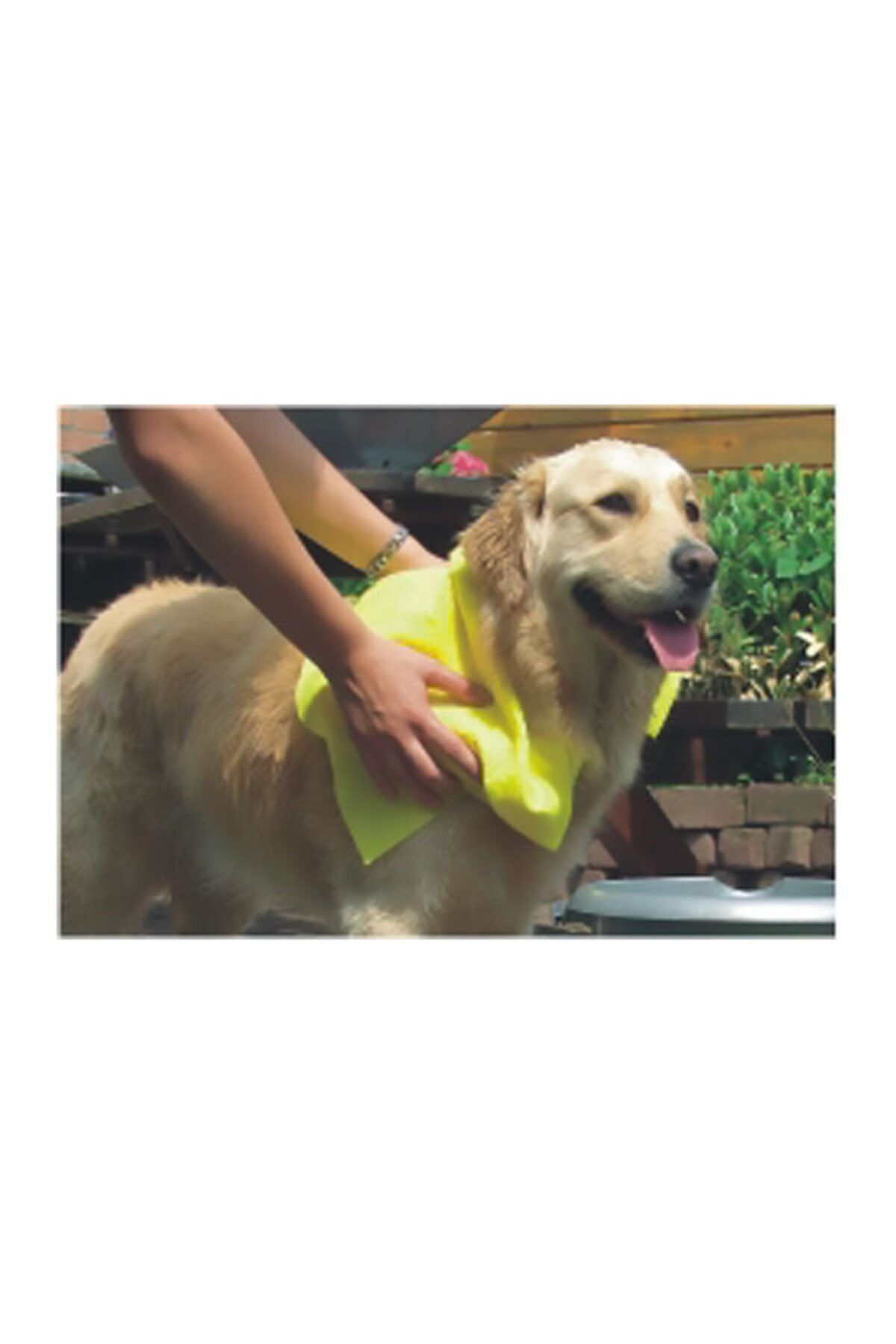 Pawise Towel 40x50 Cm Köpek Havlusu