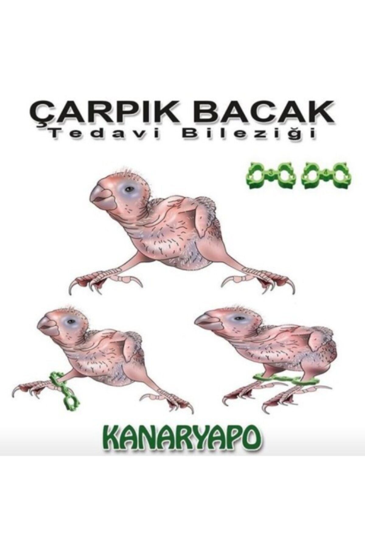 Kanaryapo Sultan Cennet Sevda Papağanı Çarpık Bacak Tedavi Bileziği Seti