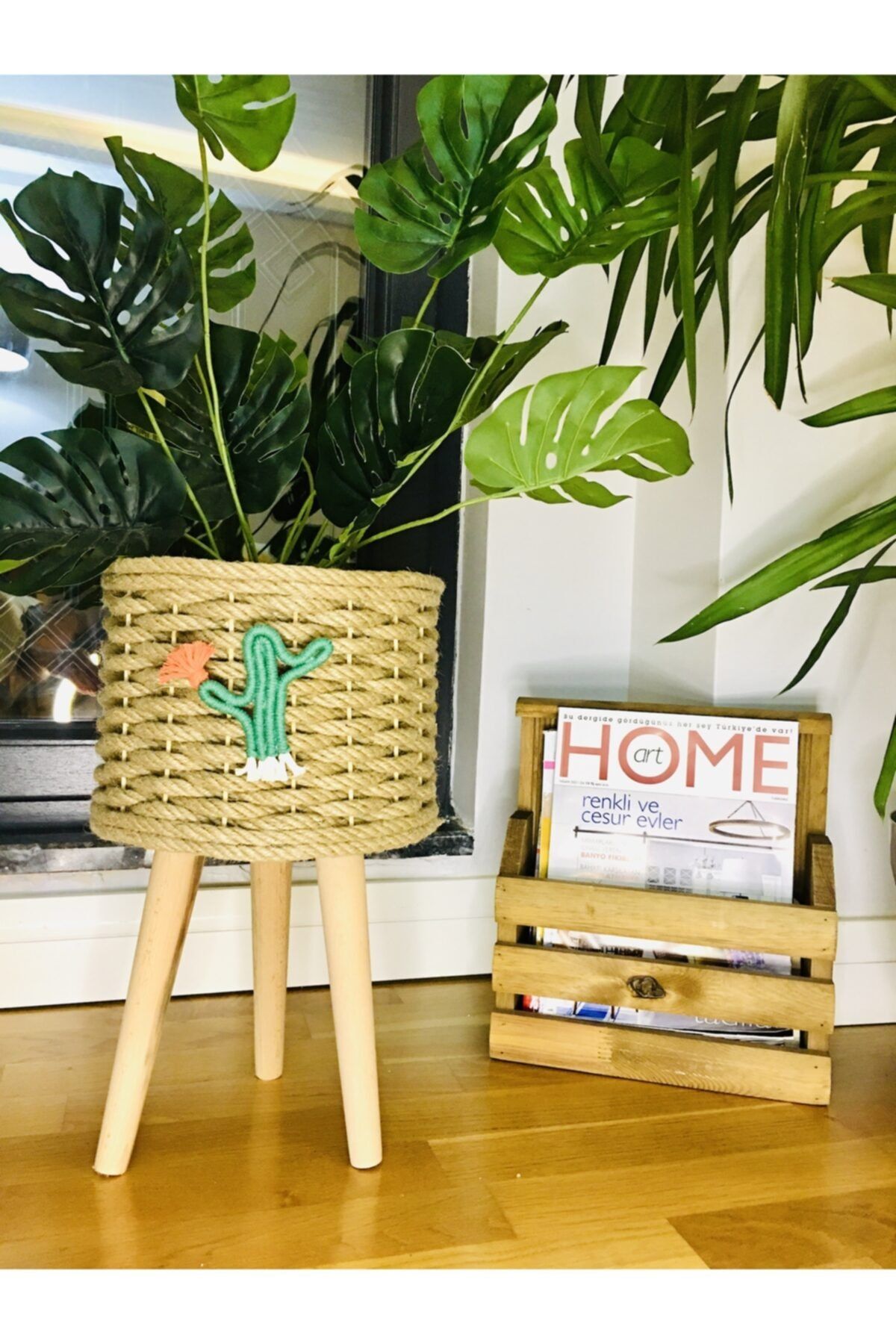 My Dream Home Kaktüs Dekorlu Tasarım Hasır Saksı