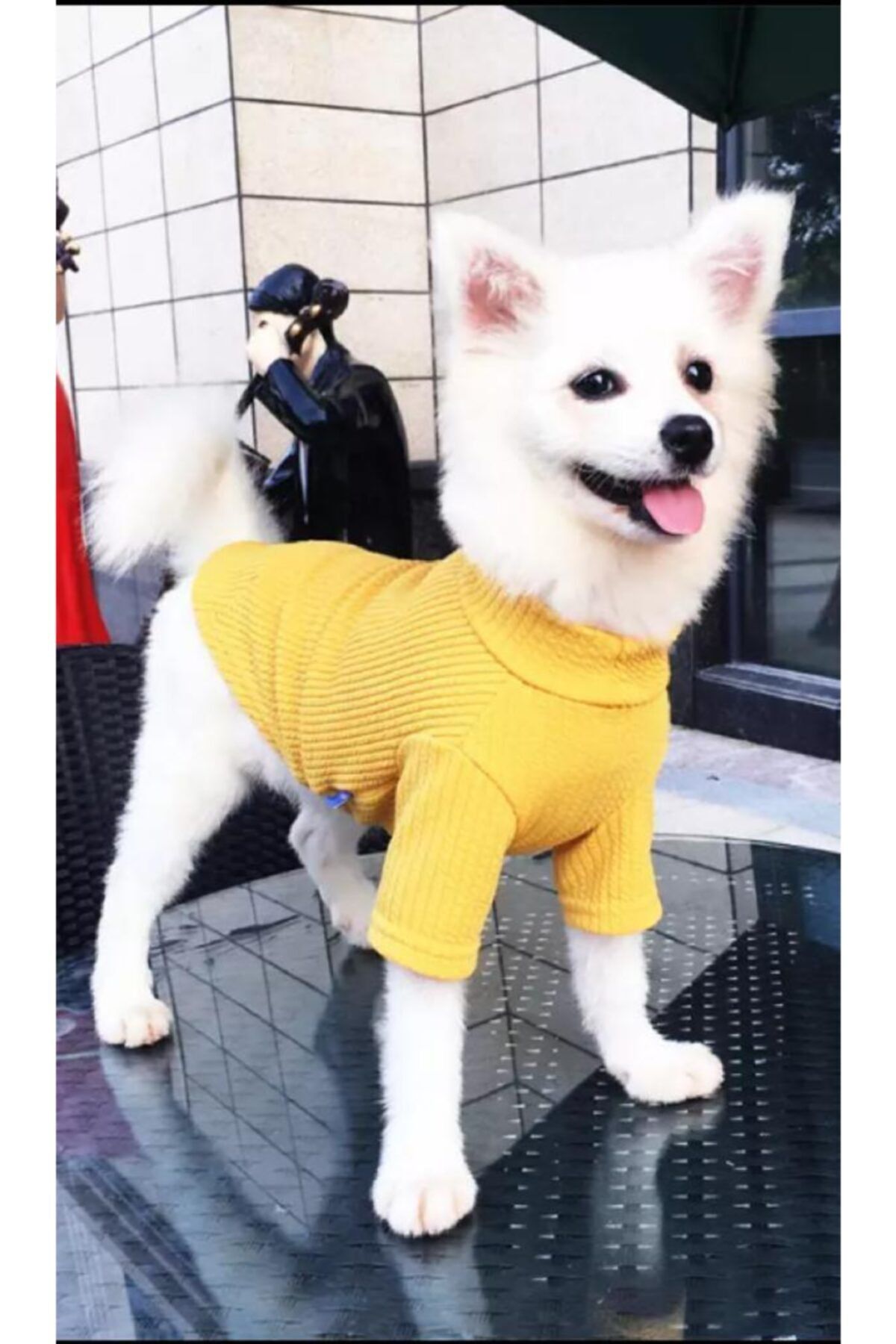 Woof The Dog Köpek Sarı Balıkçı Yaka Triko
