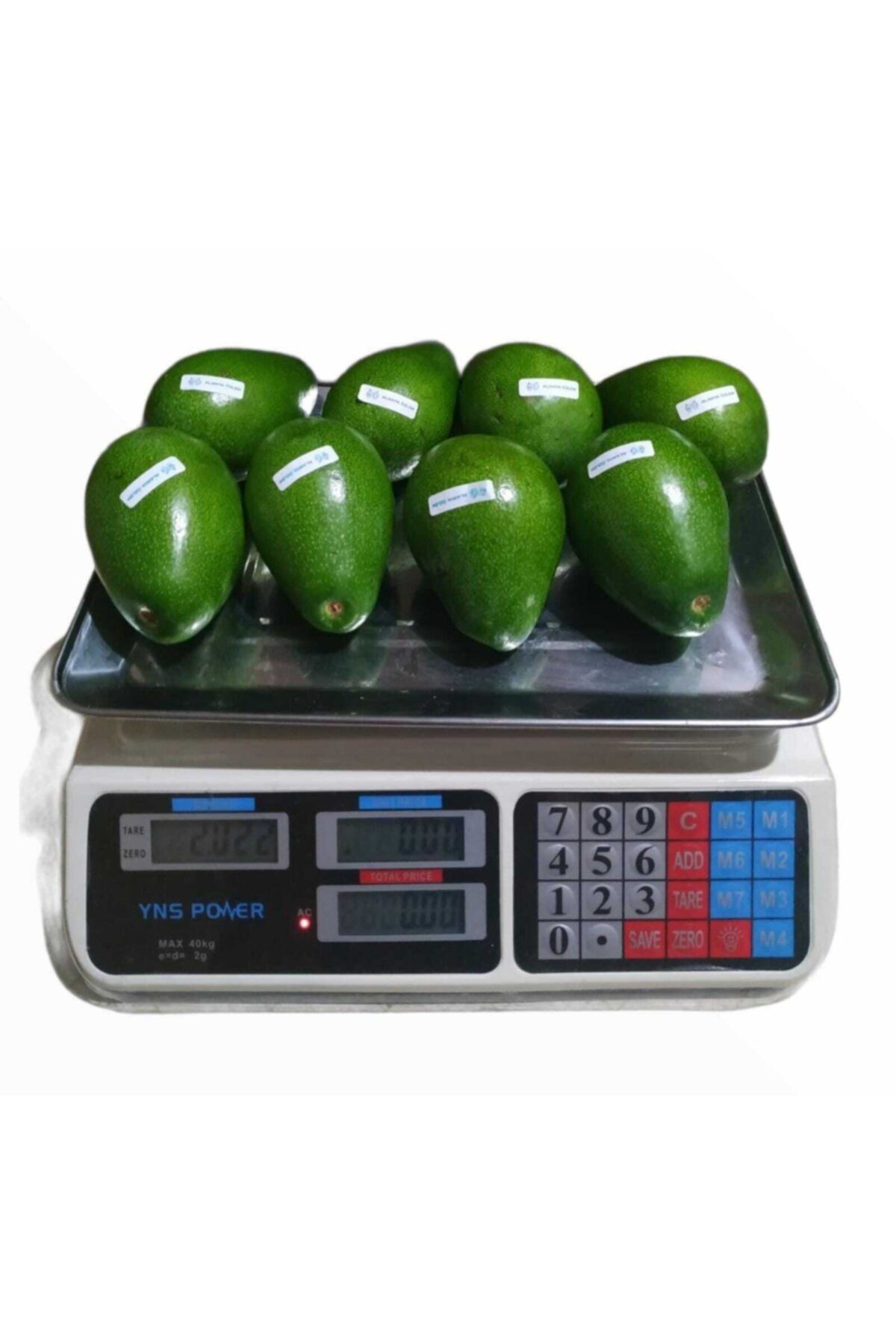 Alanya Özlem Avokado Dalından En Az Net 2 kg ( 8-20 Adet Arası)