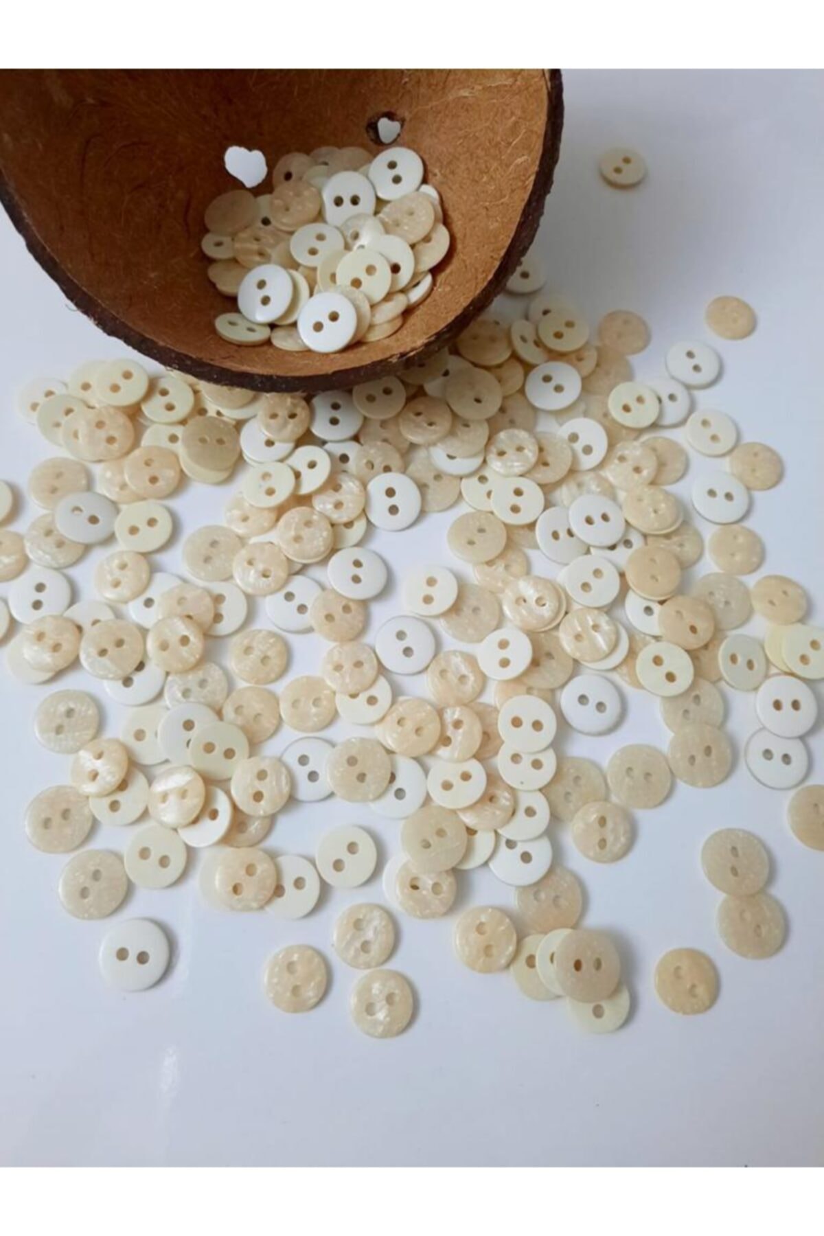 canan dizayn Krem ,sedefli Gömlek Düğmesi 11,5 Mm(20 Adet)