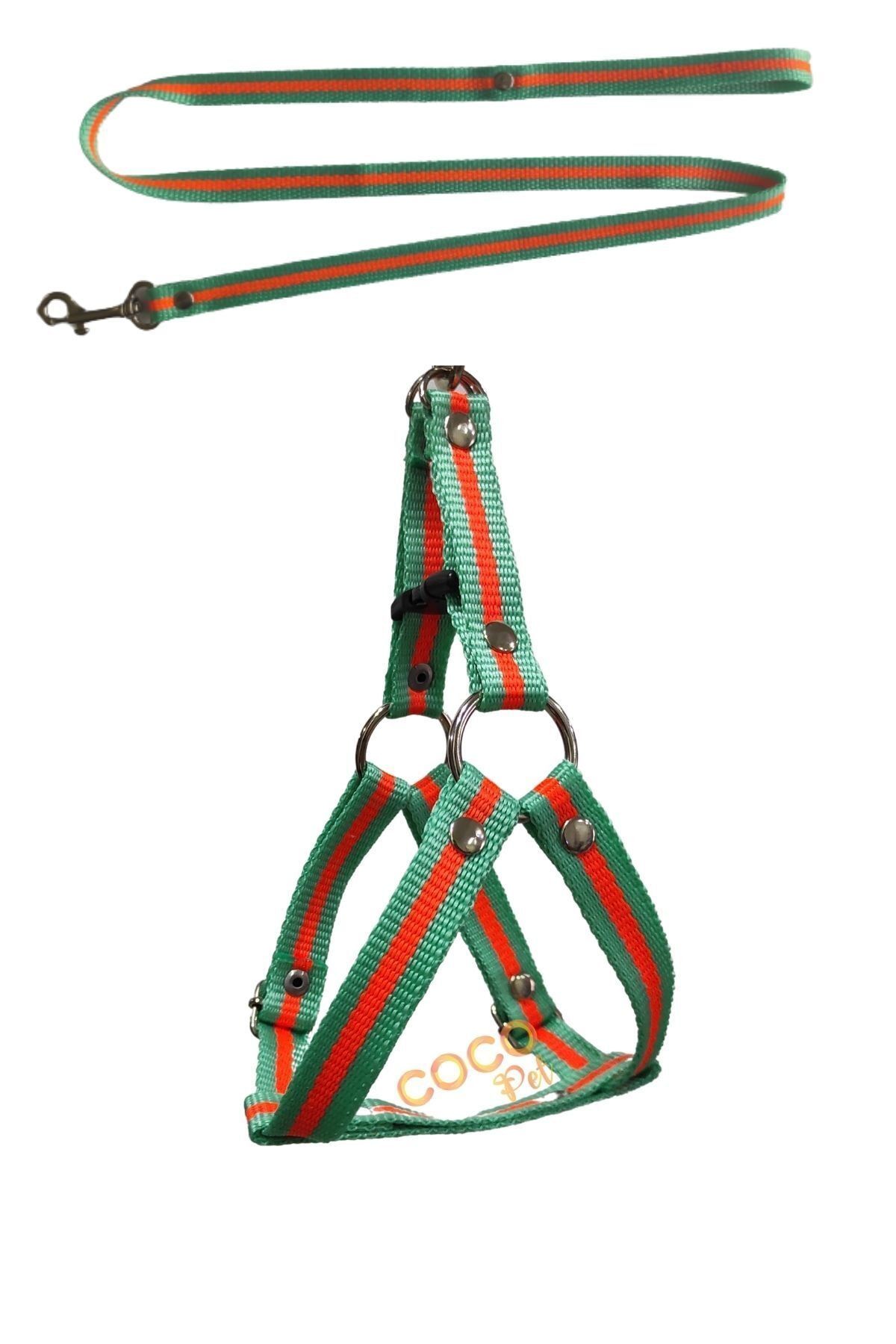 coco birds Köpek Göğüs Tasması Gezdirme Ipi 4-9 Kg Turuncu Tukuaz Küçük Ve Orta Irklar Için