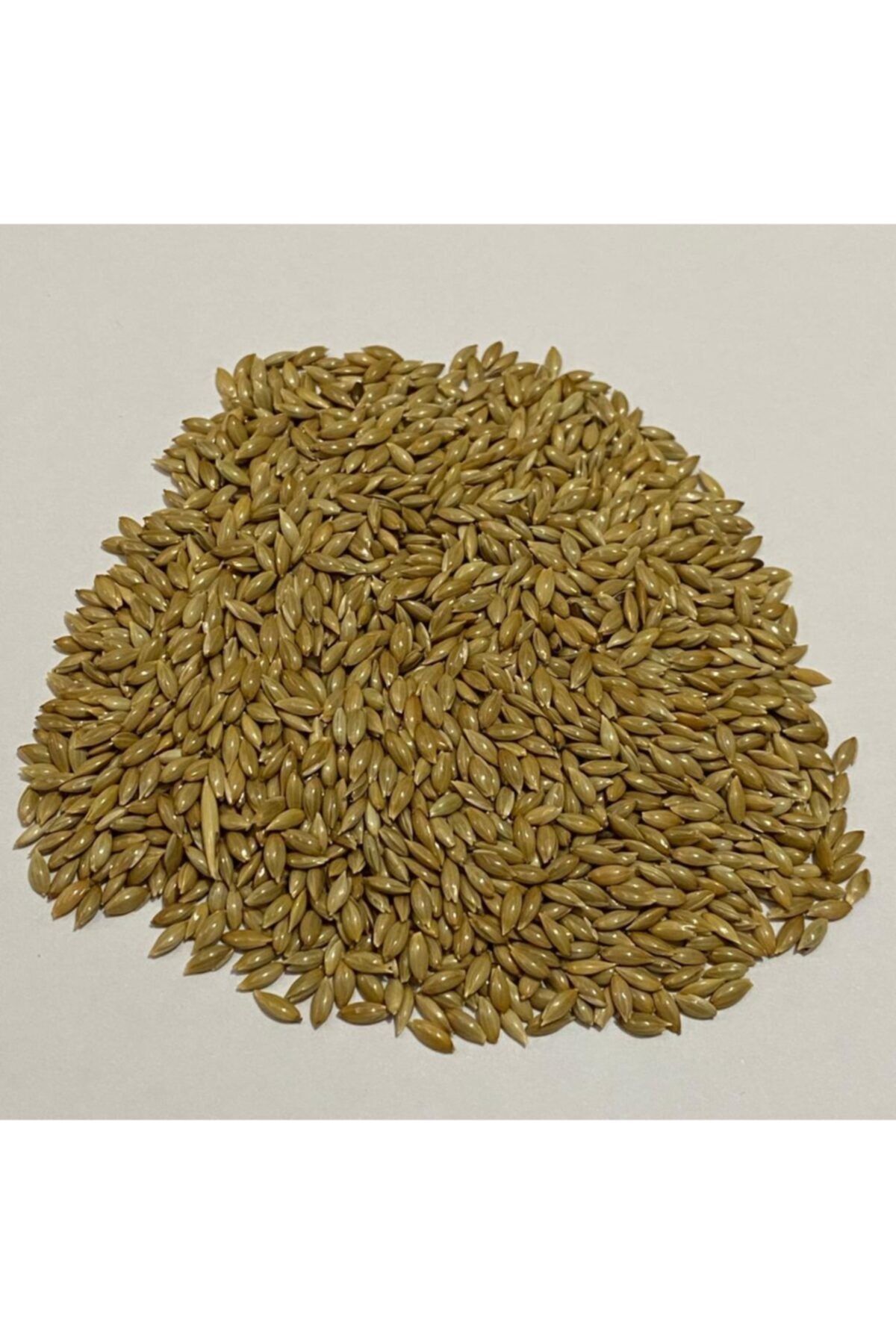 SACİTK Aspur Tohumu 300 Gr Kuş Yemi