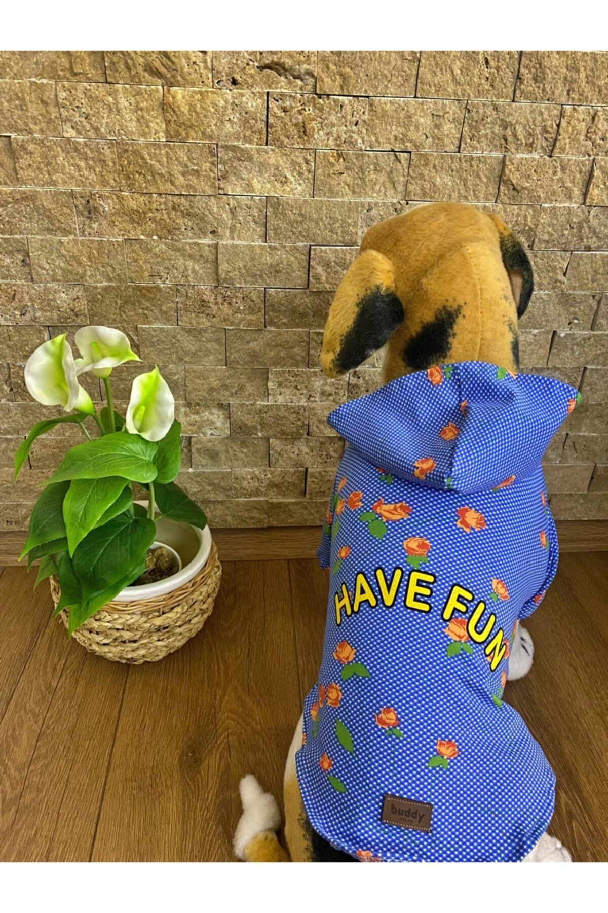 Buddy Store Kedi Köpek Kıyafeti & Elbisesi Kapüşonlu Sweat Model Gül Desenli Have Fun