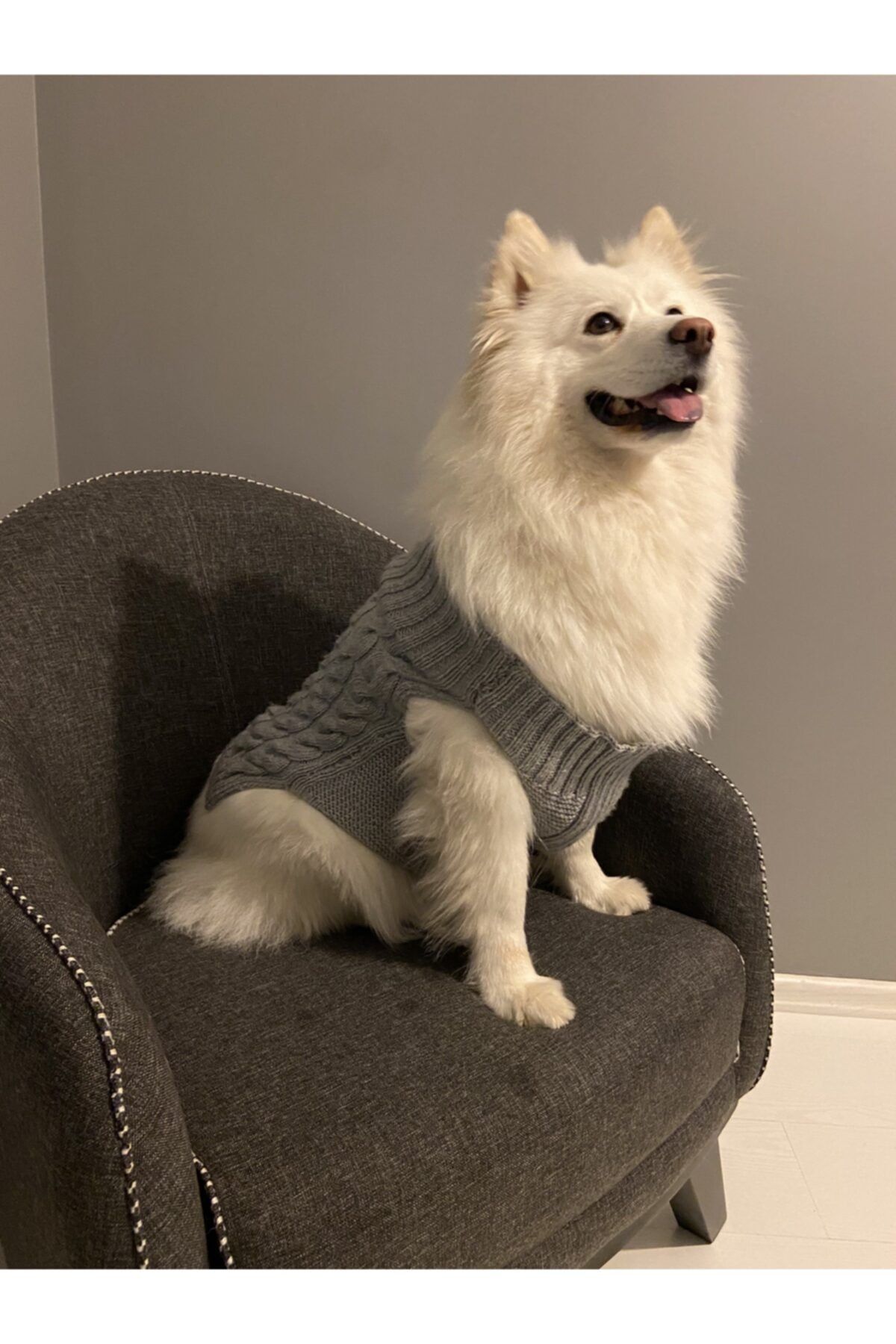 ÇiPetPet Gri El Yapımı Kedi-köpek Kıyafeti