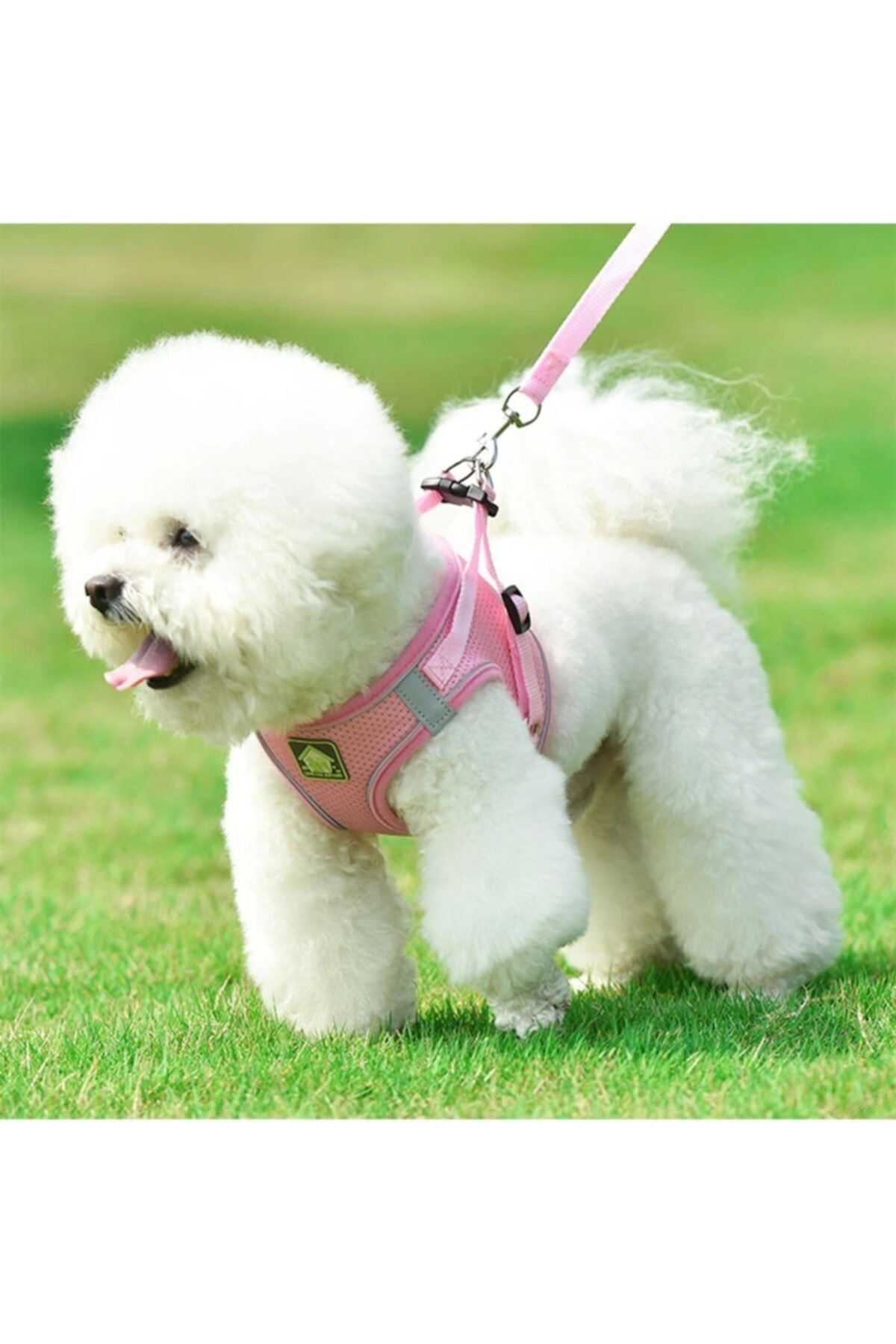 Silaypet Köpek Göğüs Gezdirme Tasması ( Pembe M Beden )