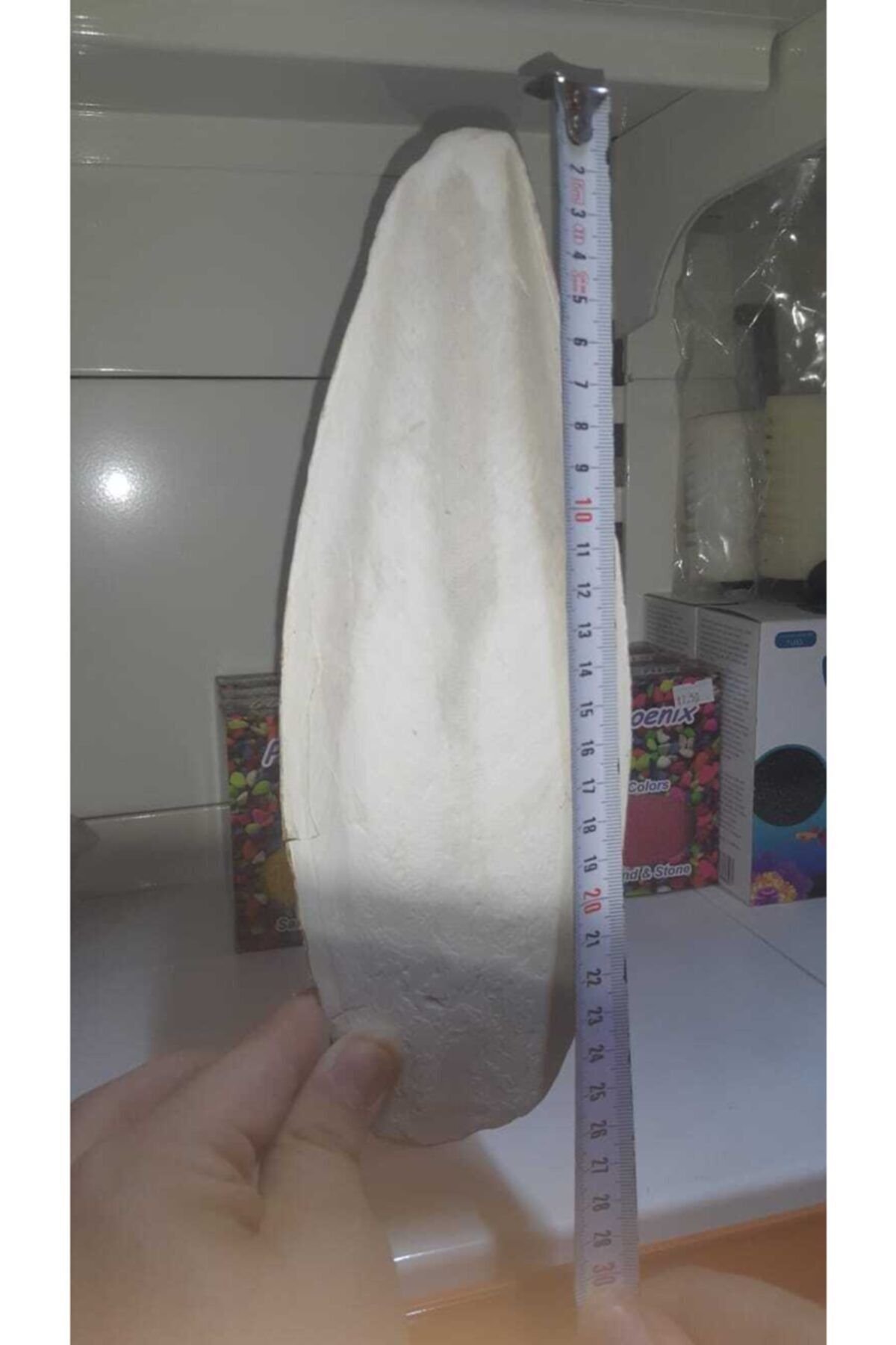Quik Kalamar Kemigi 27 Cm Papagan Lar Icin 5 Cm Kalınlık