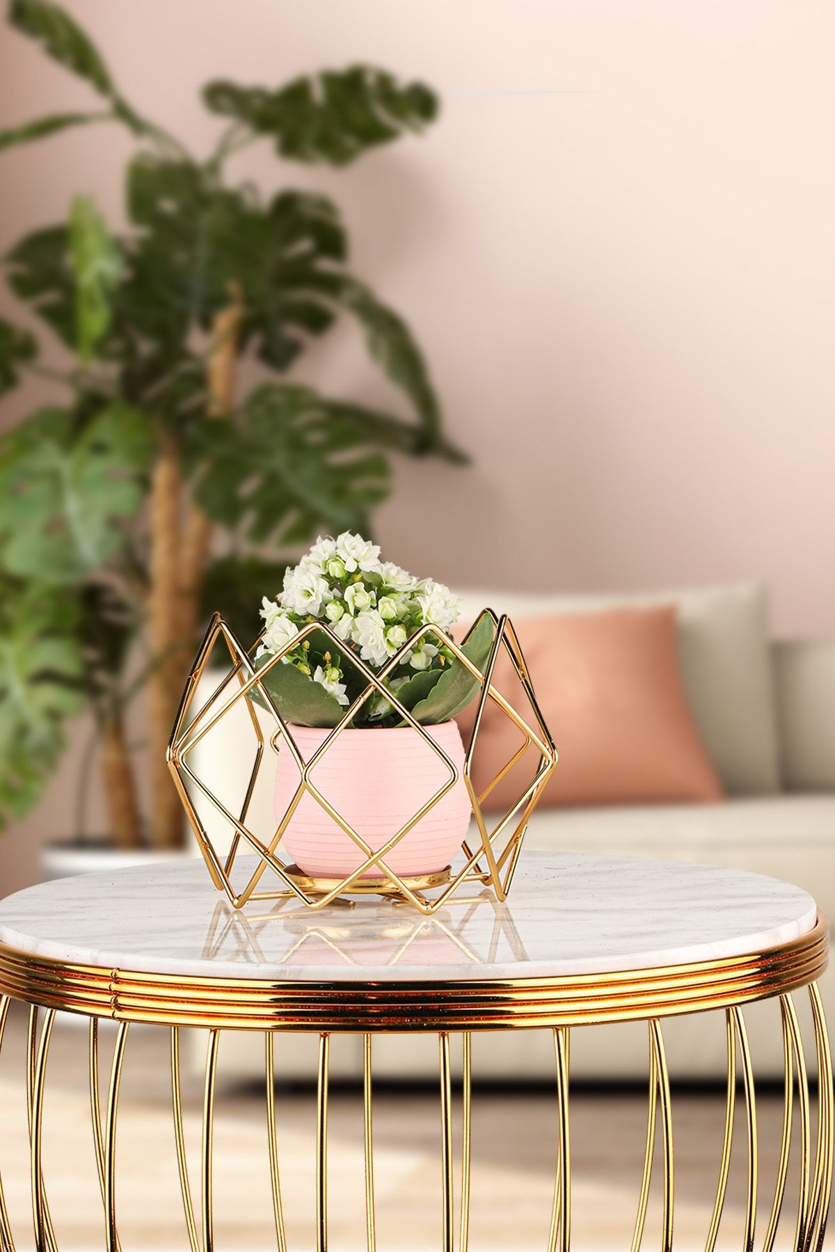 Begüsa Dekoratif Saksılık Altın No:4 Pembe Saksı + Hediyeli