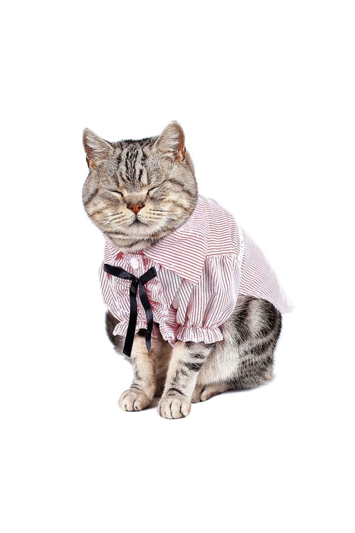 PipiFren Kedi ve Köpek Gömlekleri Kırmızı Renk S Beden